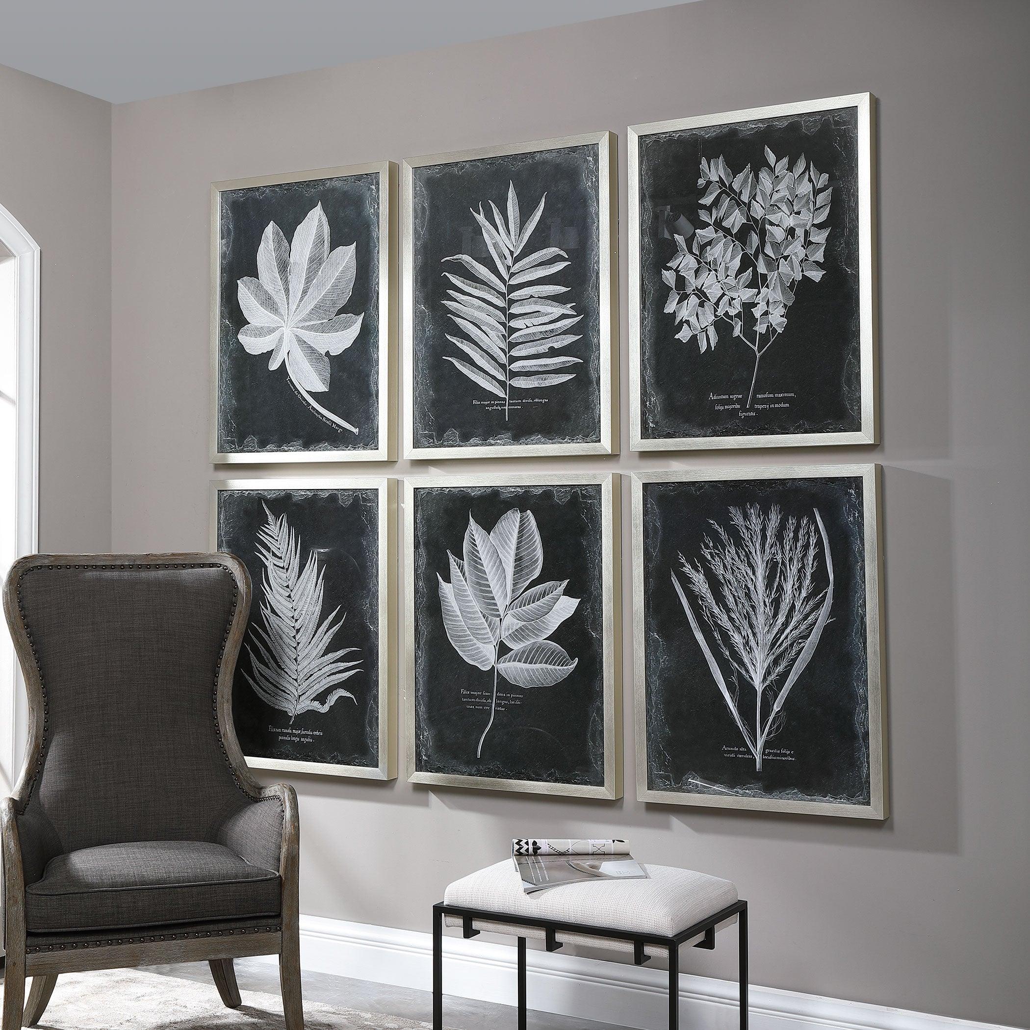 FOLIAGE FRAMED PRINTS, SET OF 6 - Frankwebs