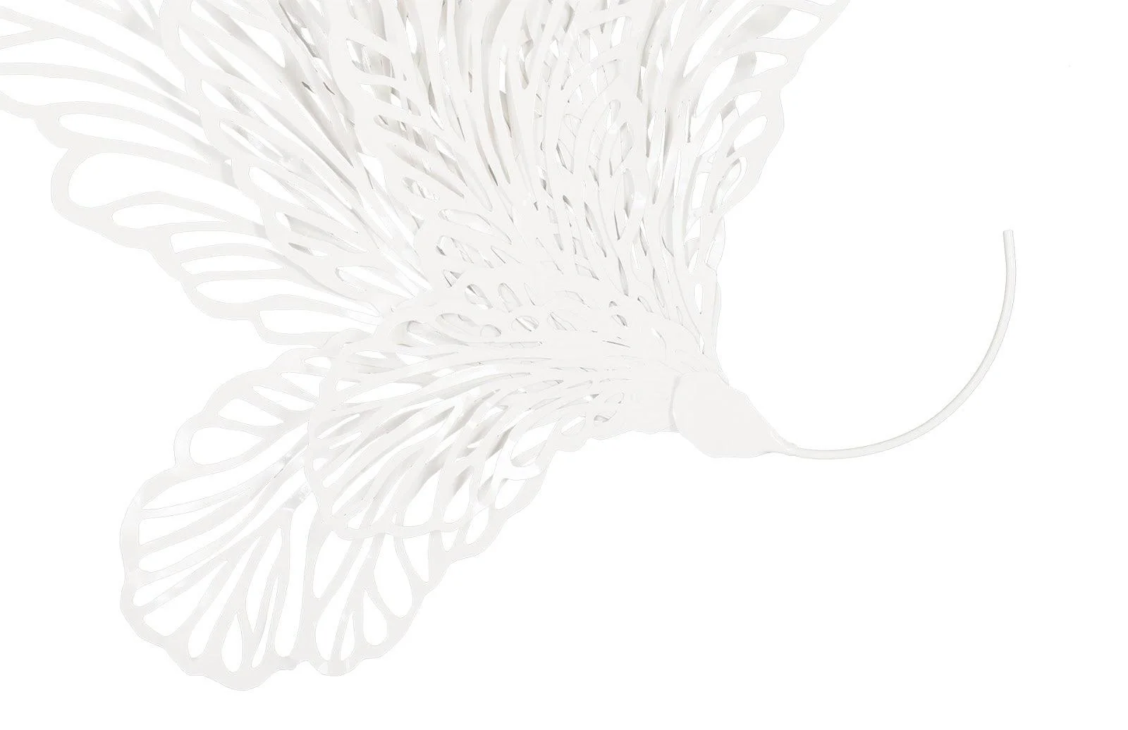 Butterfly Wall Art, White, LG - Frankwebs