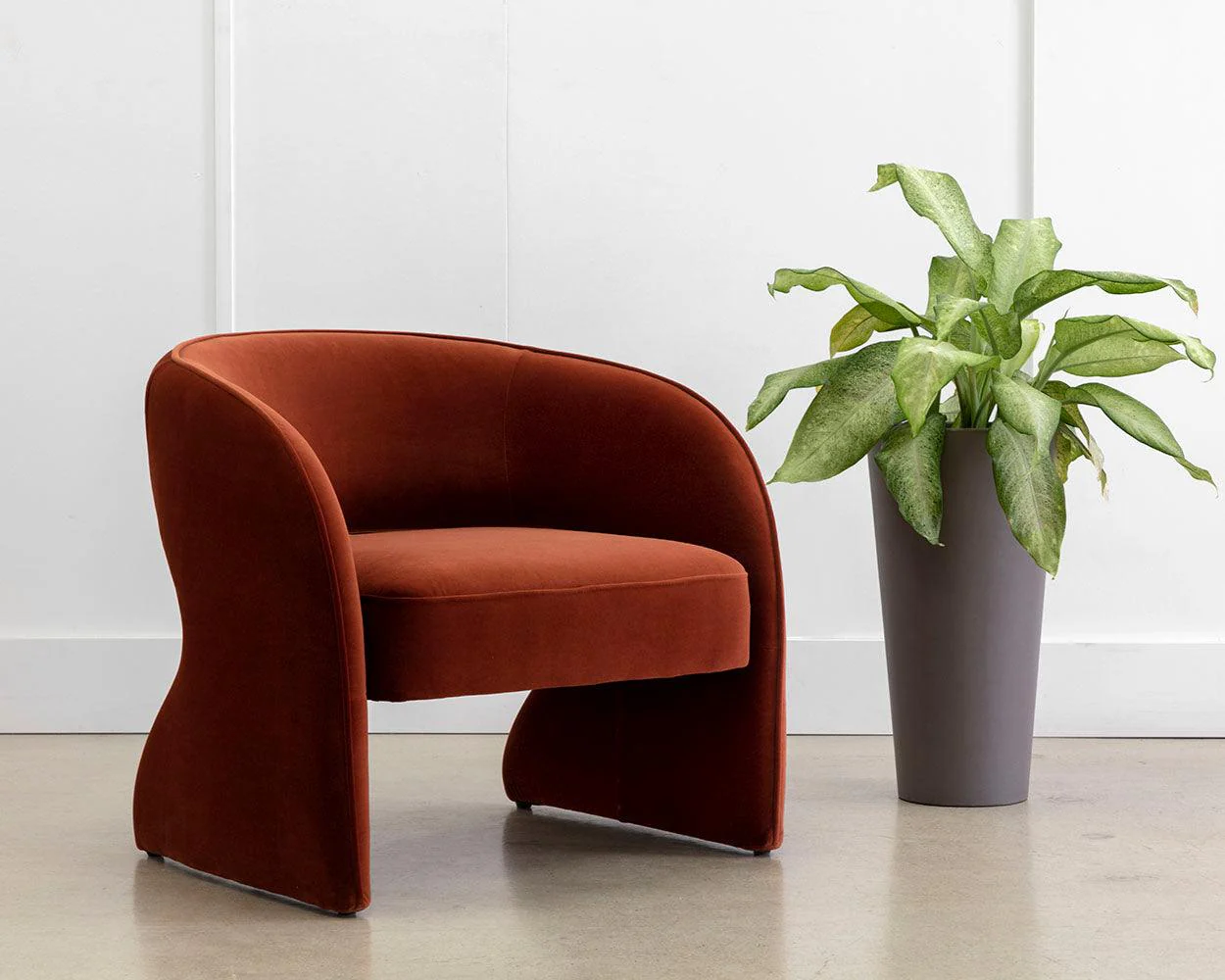 Rosalia Lounge Chair - Frankwebs
