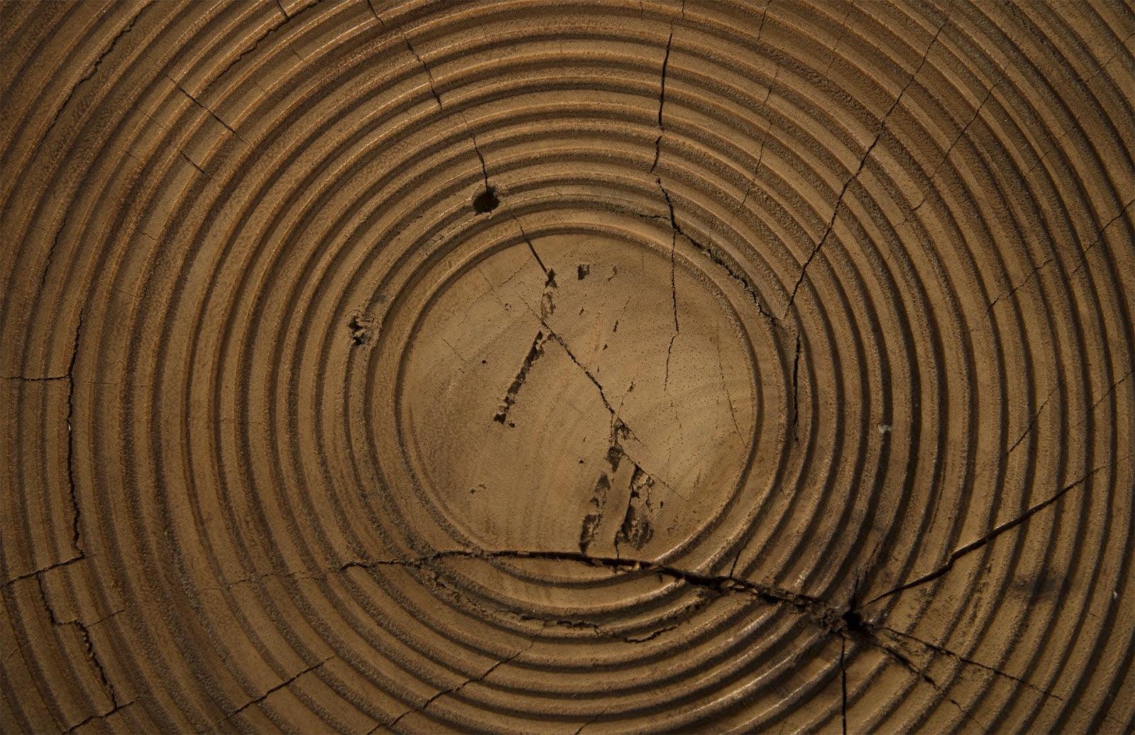 Lathe Side Table, Chamcha Wood - Frankwebs