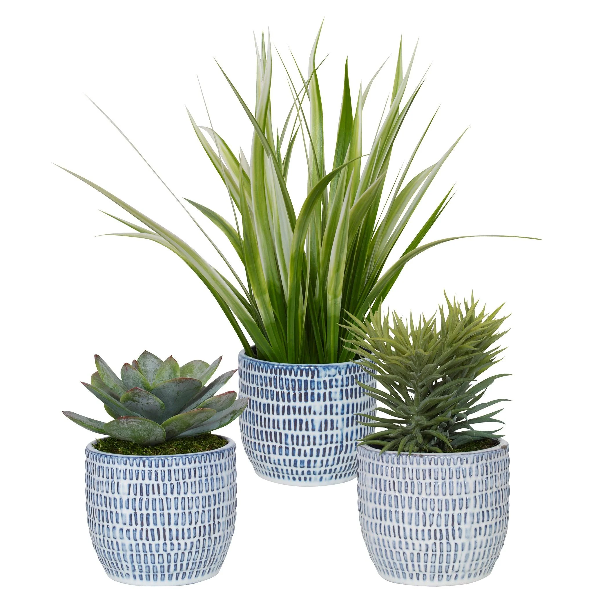 PUEBLA GREENERY IN BLUE & WHITE POTS, SET OF 3 - Frankwebs