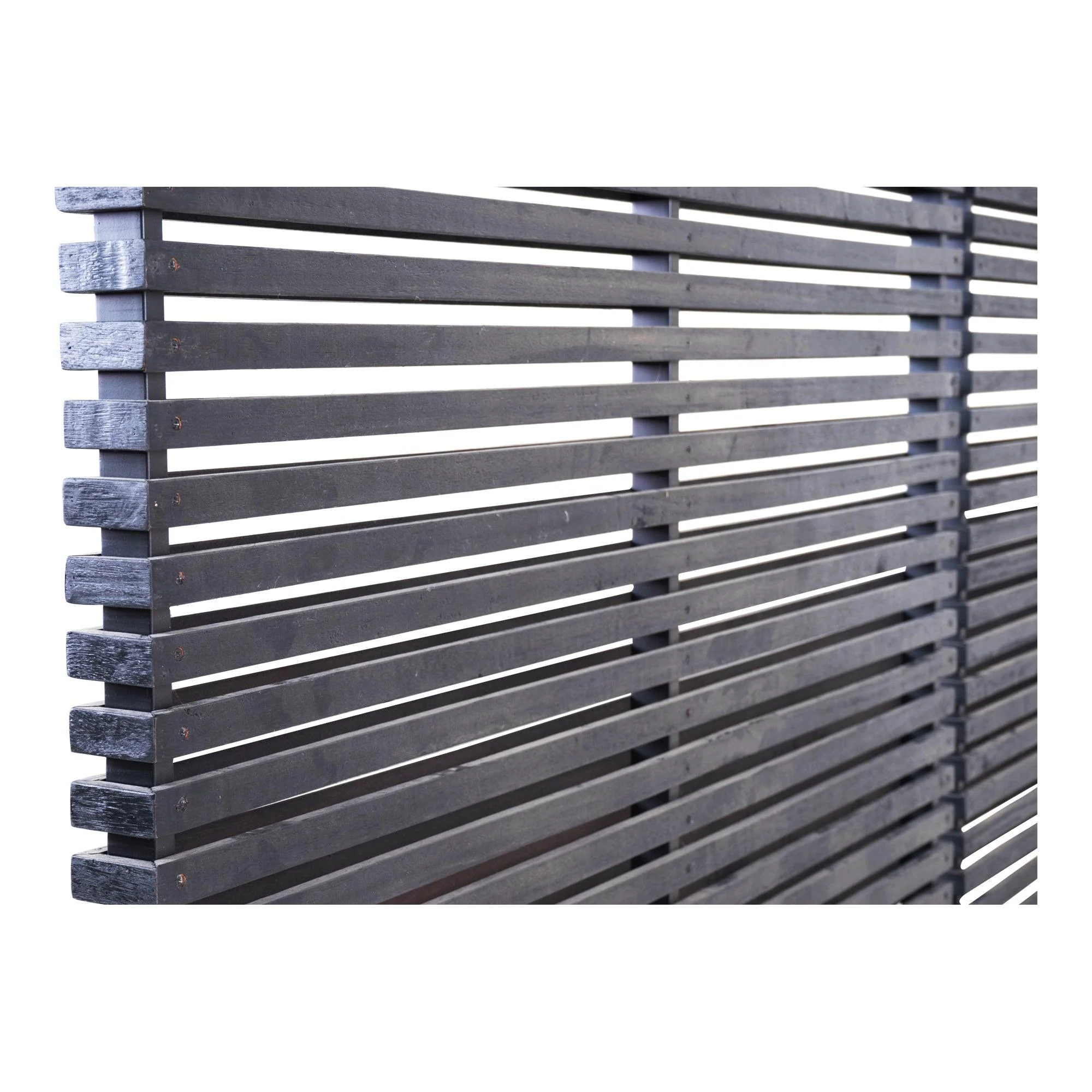 Damani Screen Black - Frankwebs