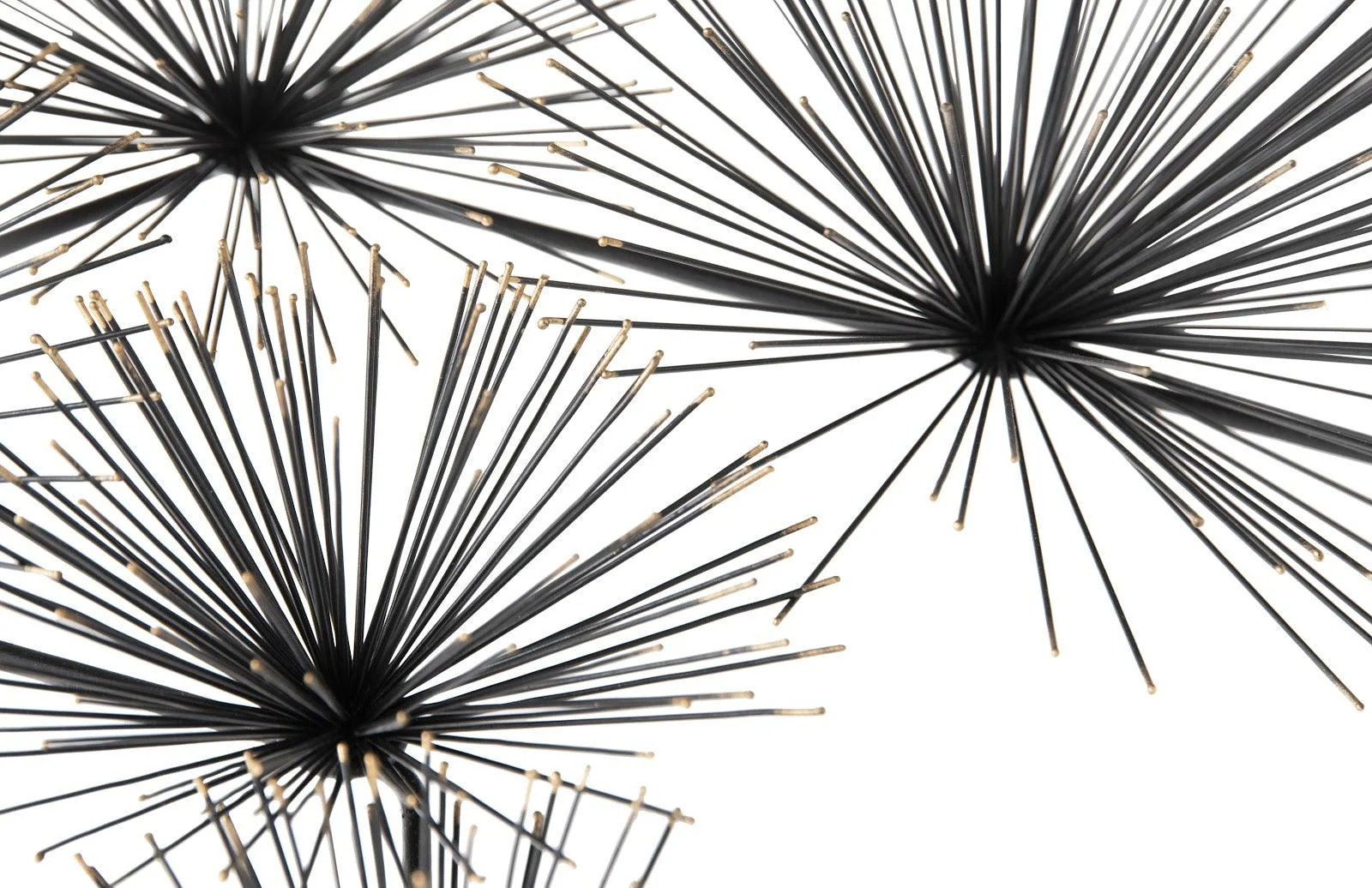 Sea Root Wall Art - Frankwebs