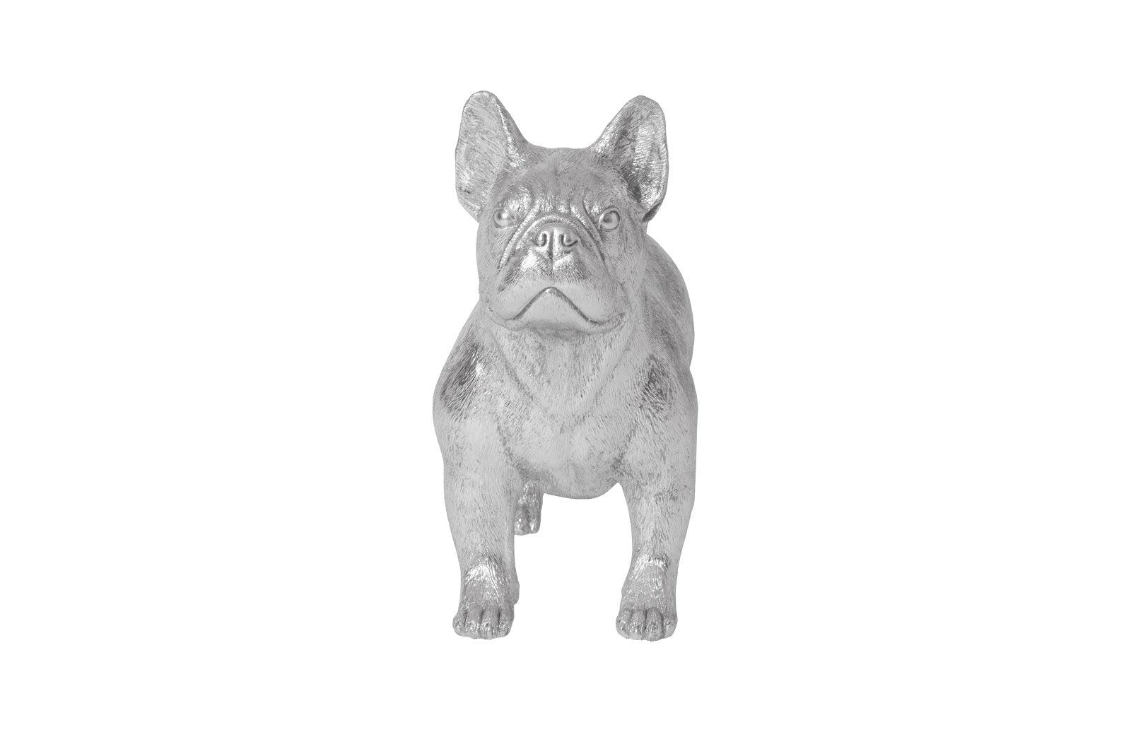 French Bulldog, Silver - Frankwebs