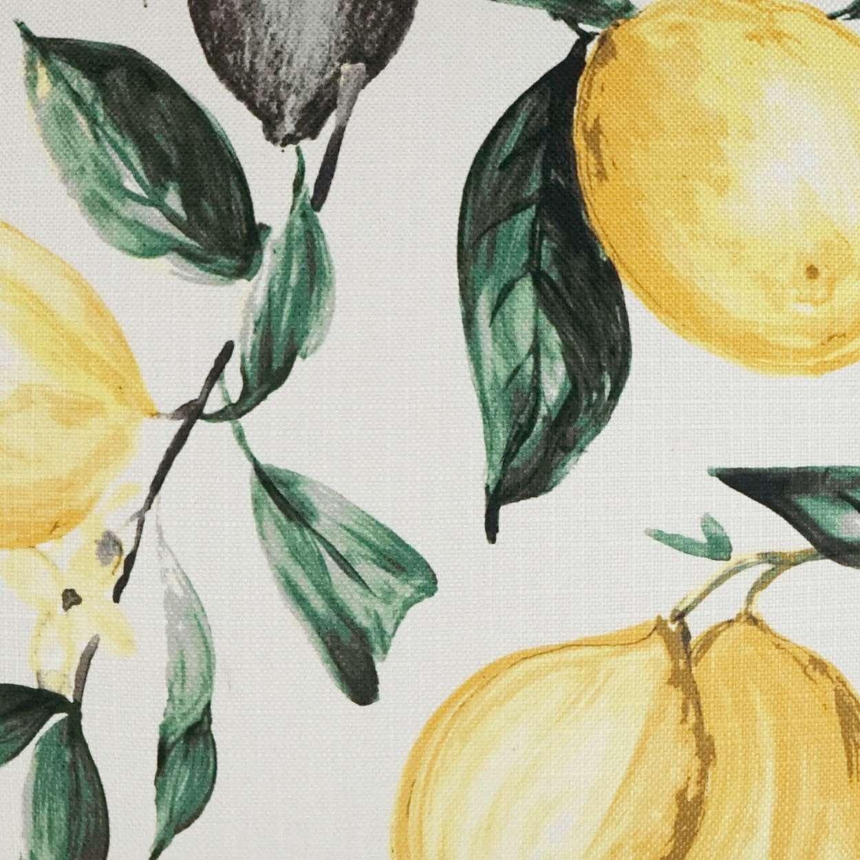 Pucker Pillow - Frankwebs