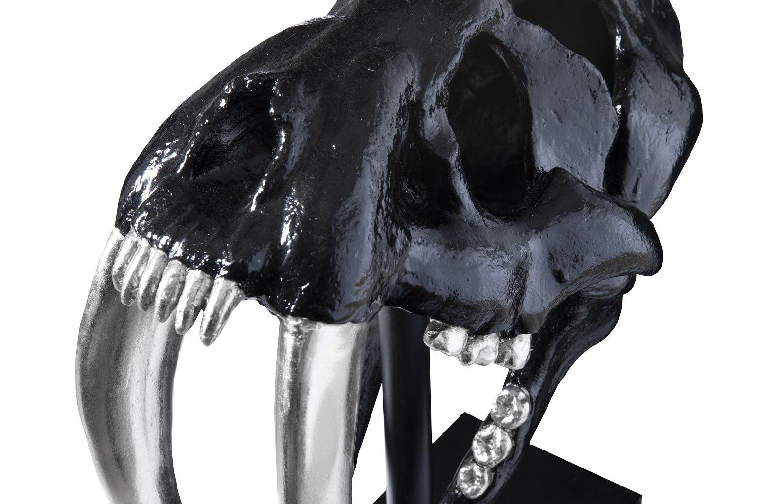 Saber Tooth Tiger Skull, Black - Frankwebs