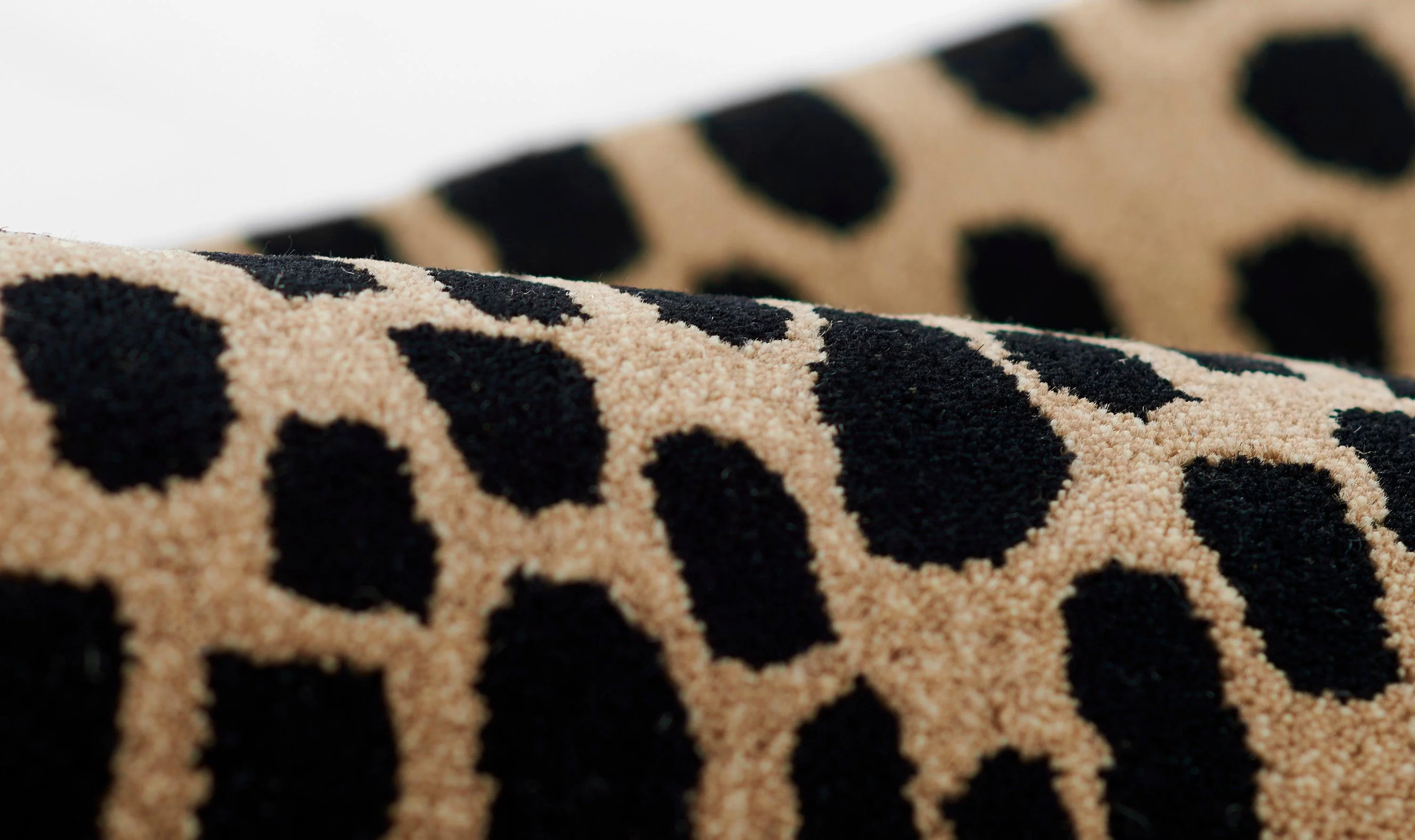 Erin Gates - Cheetah - Frankwebs