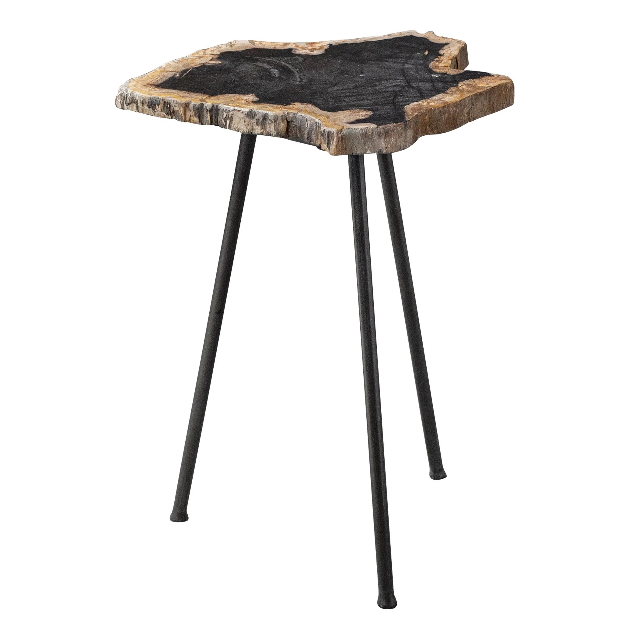 MIRCEA PETRIFIED WOOD ACCENT TABLE - Frankwebs