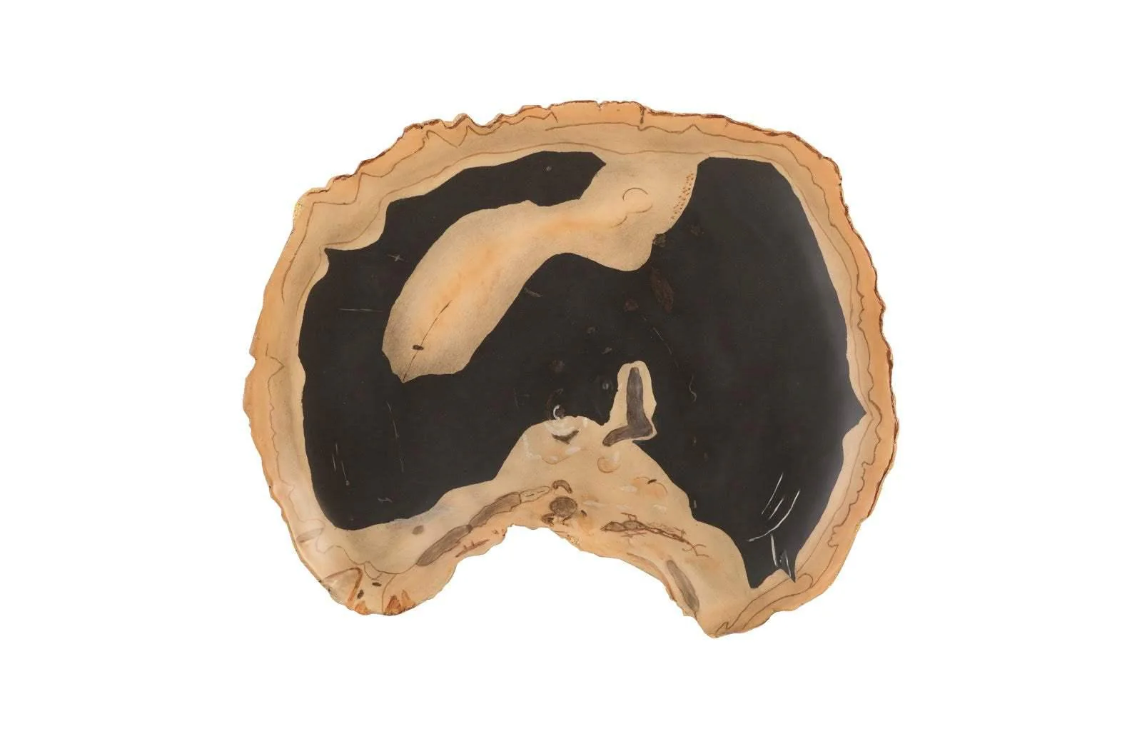 Cast Petrified Wood Wall Tile, Resin, Thin - Frankwebs