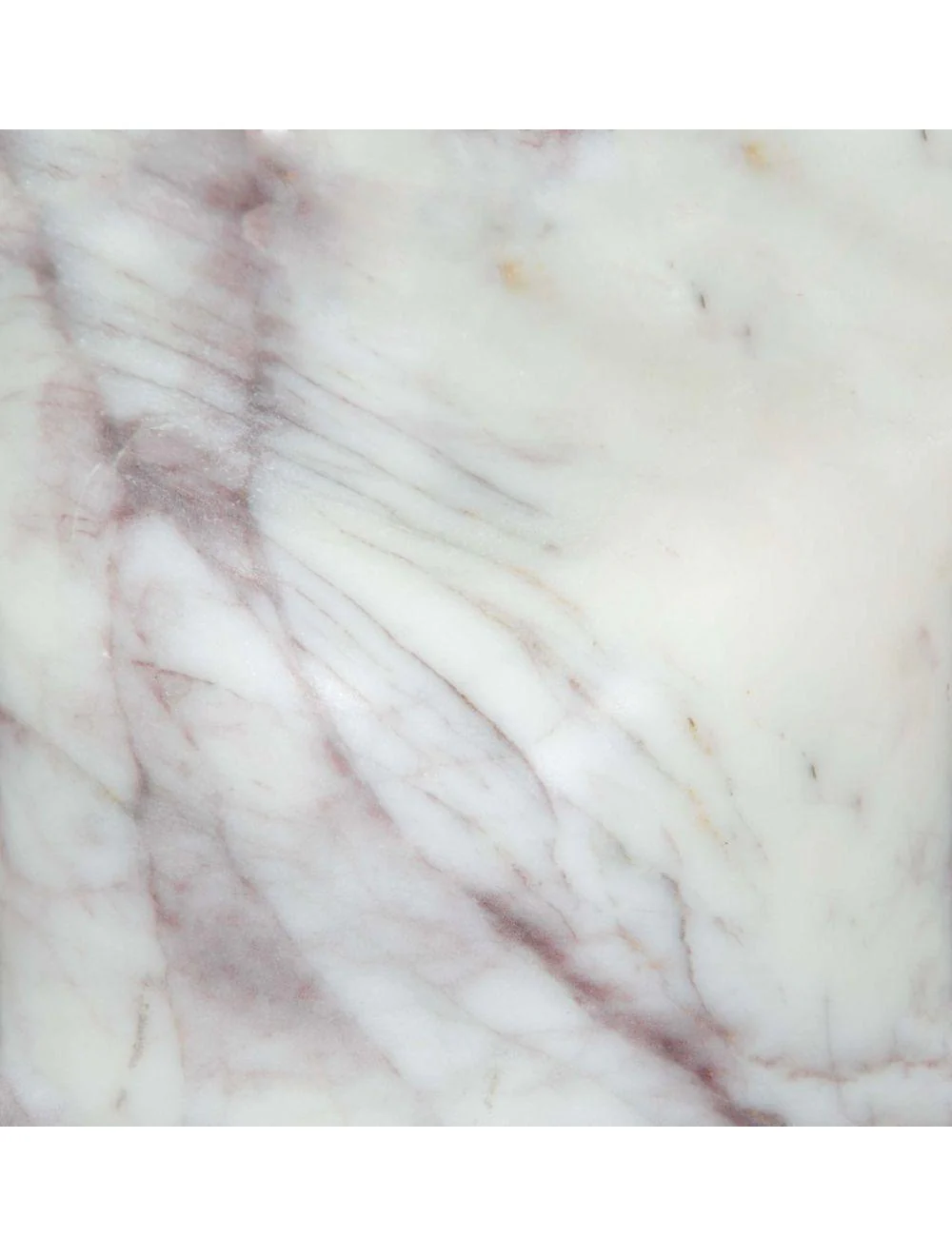 Will Side Table White - Frankwebs