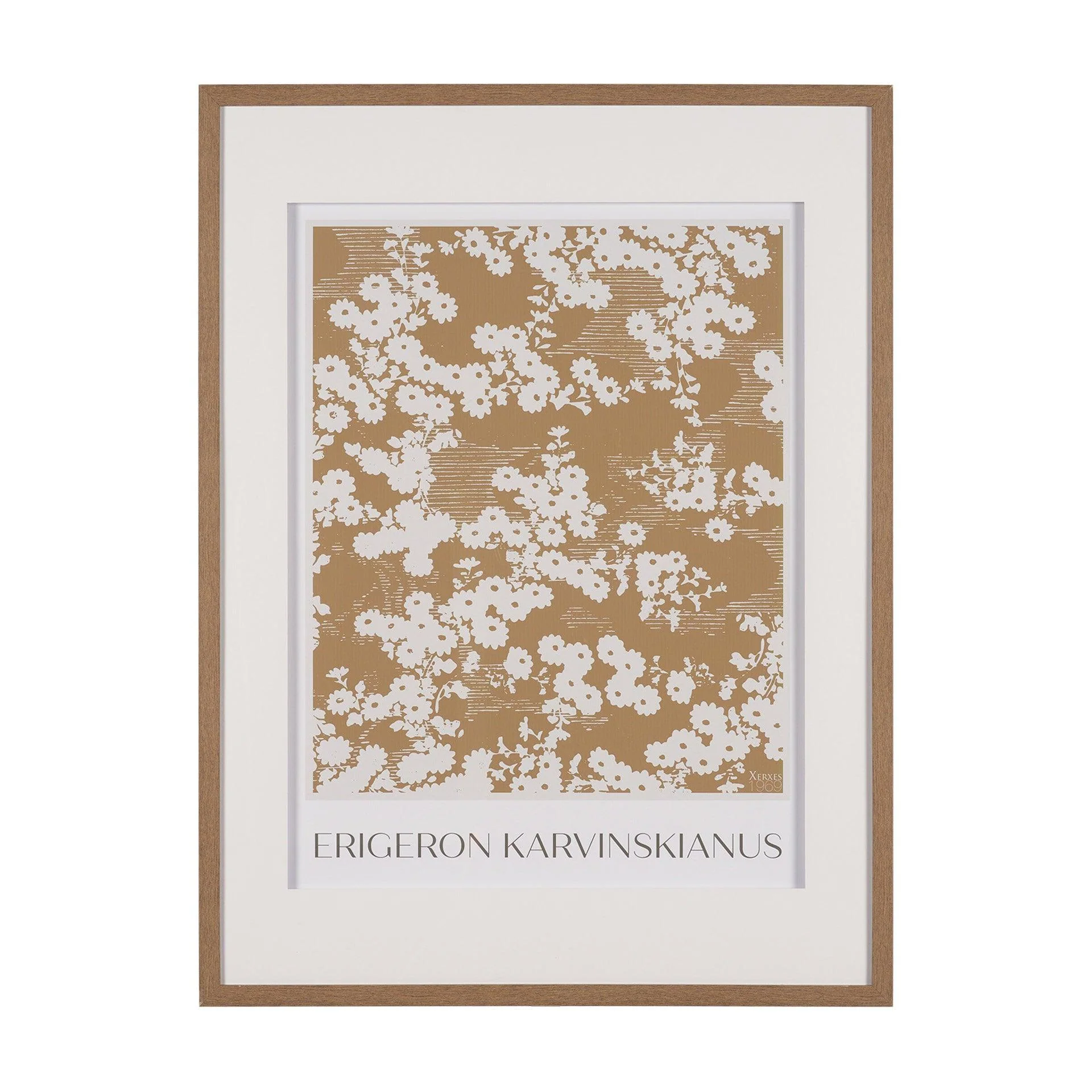 Belleza En Flores II - Frankwebs