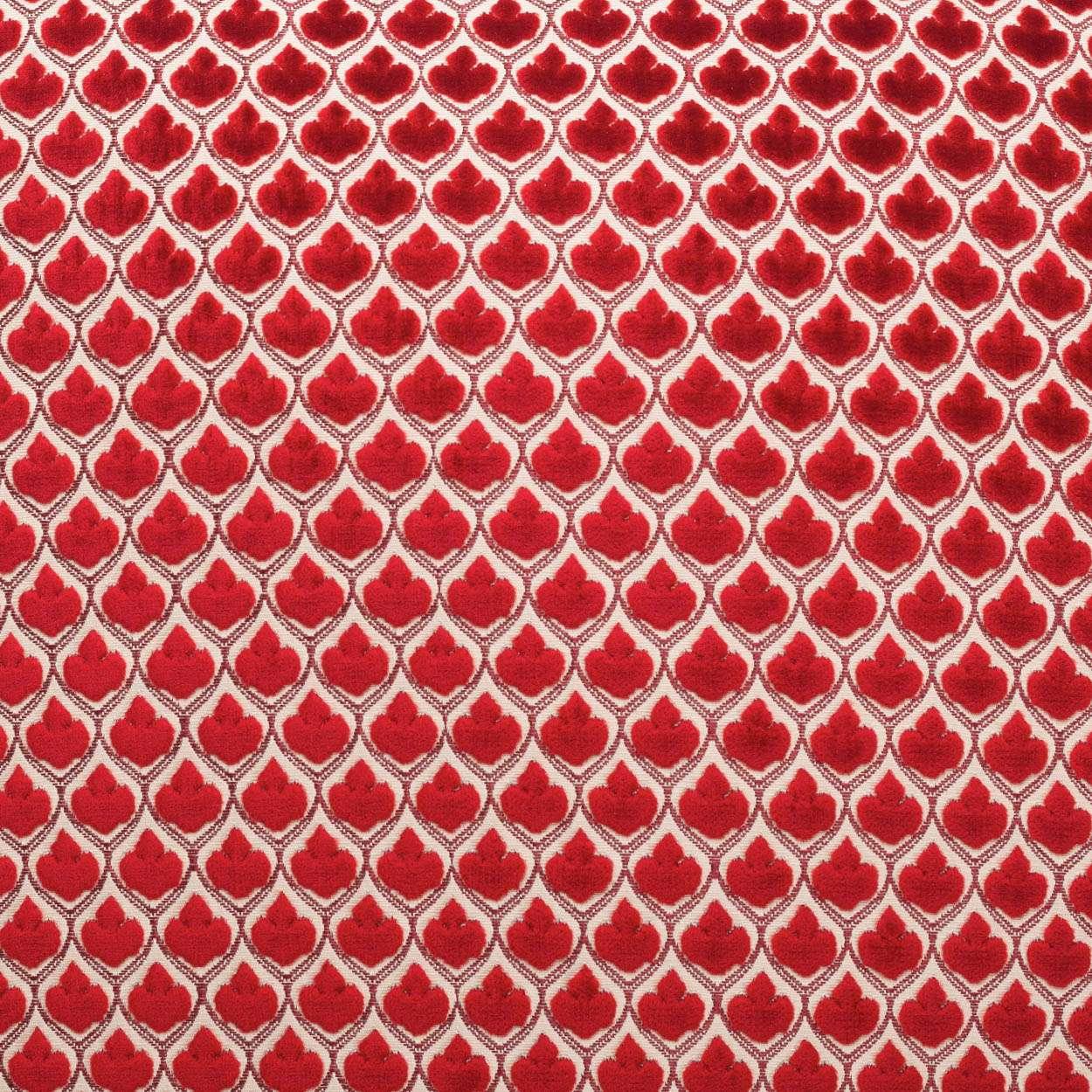 Posh Pillow - Frankwebs