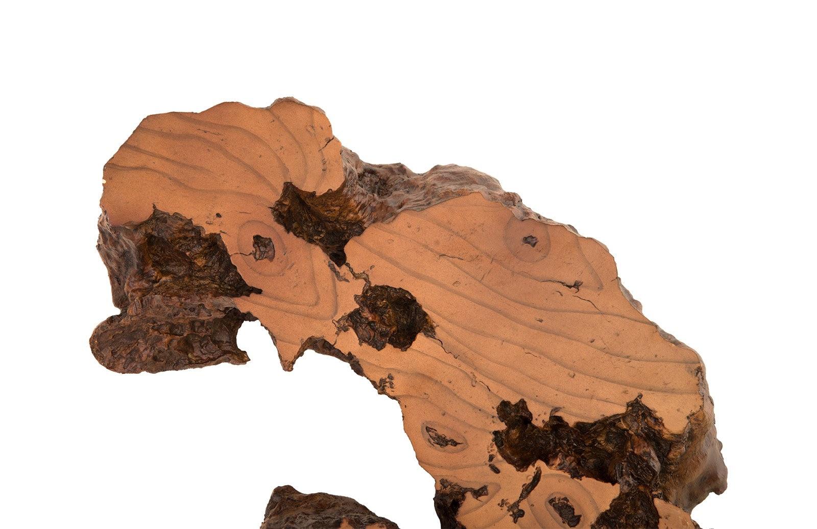 Burled Root Wall Art, Medium, Faux Bois Finish - Frankwebs