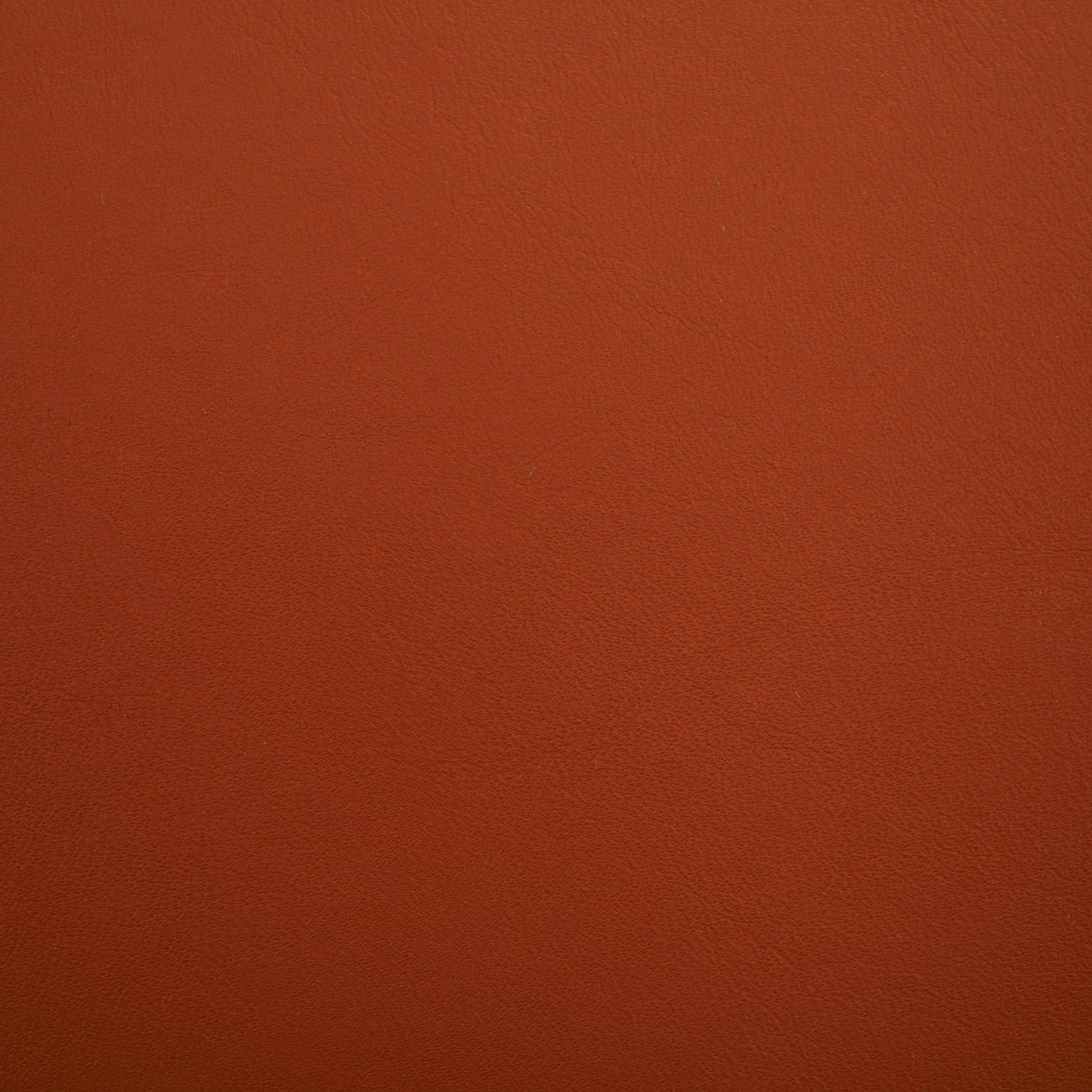 EAMON LEATHER AND CANE DINING CHAIR - Frankwebs