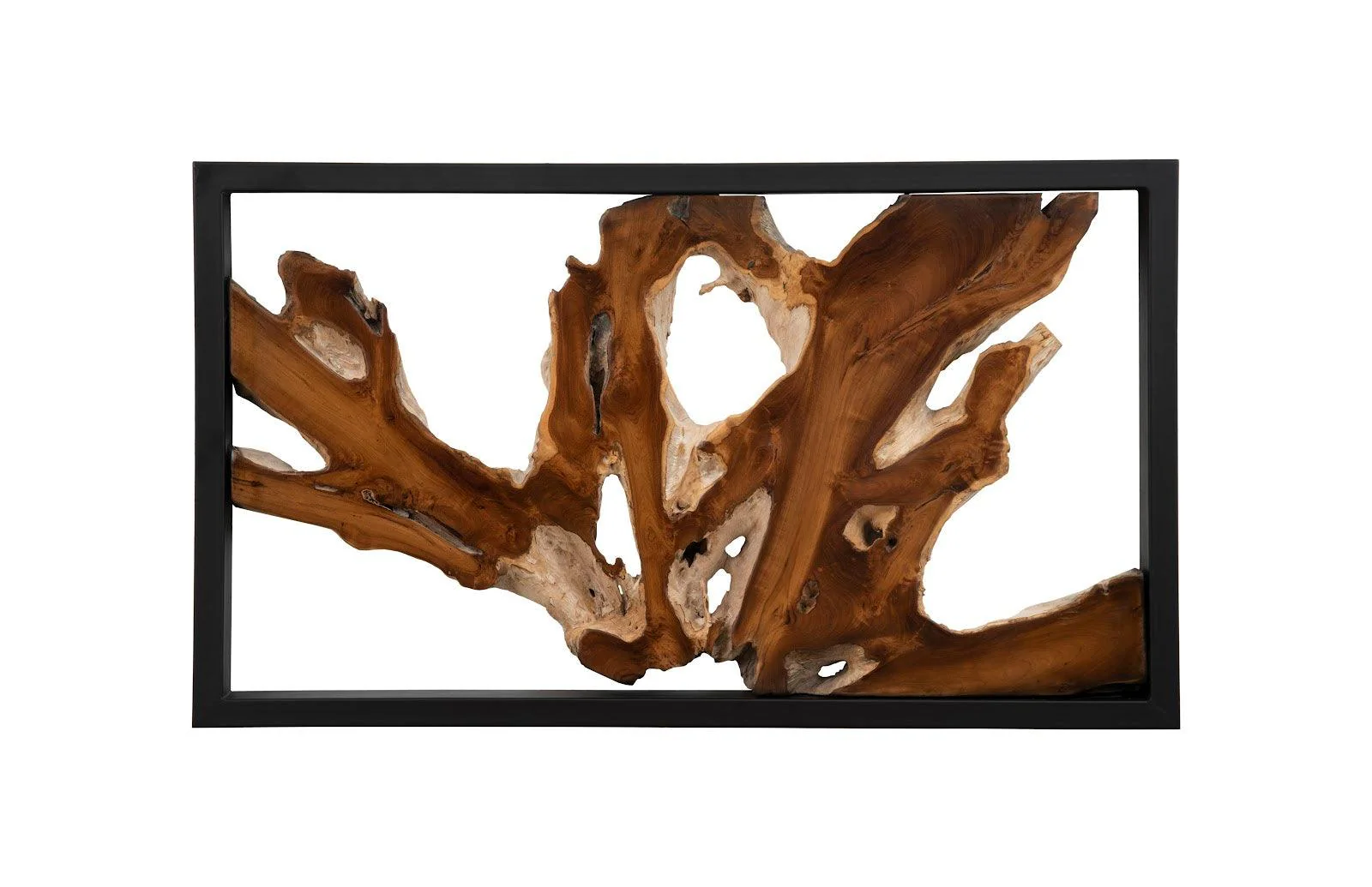 Framed Root Wall Art, Rectangle, Black - Frankwebs