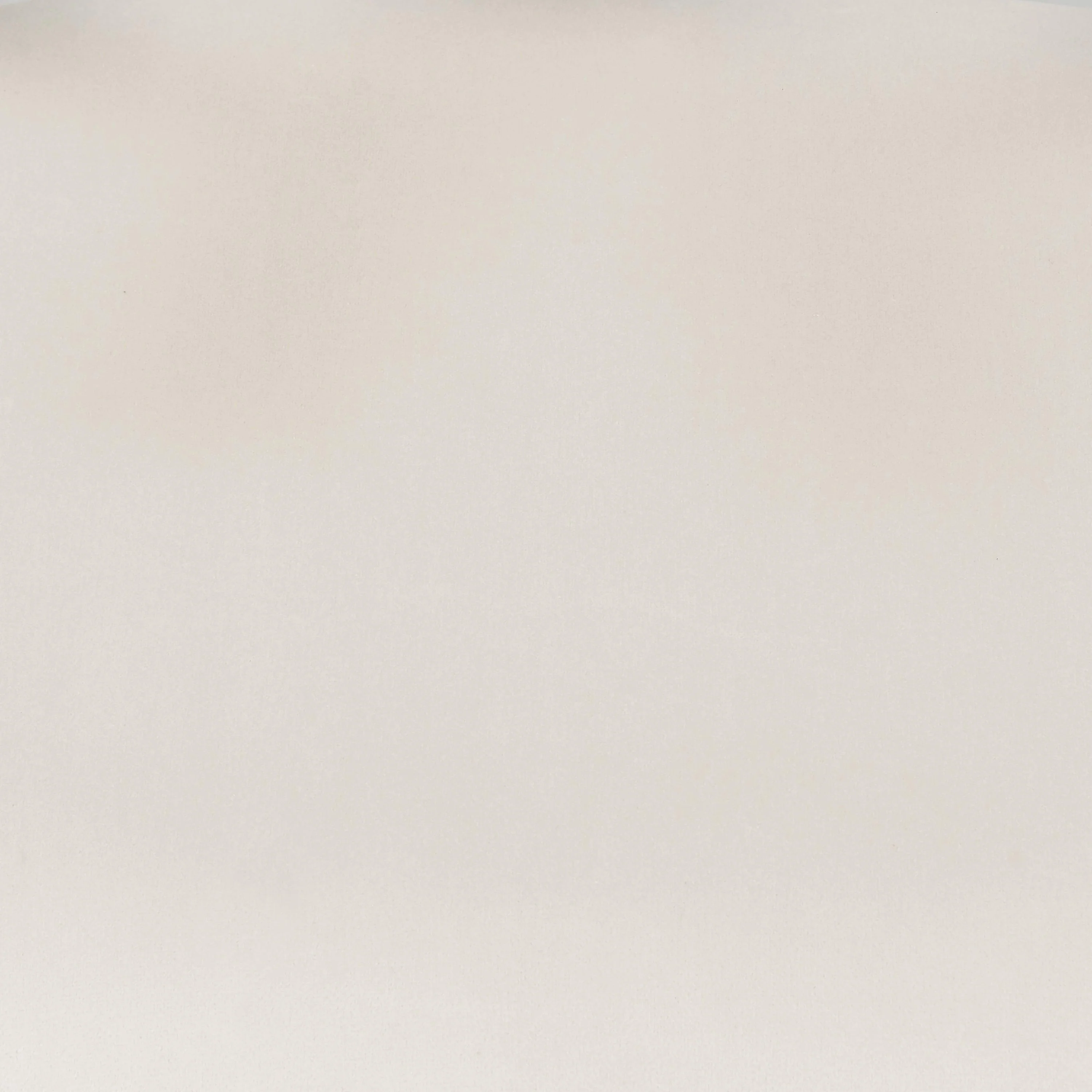 Evelina Side Chair with Stained Framed and Beige Velvet Seat - Set of 2 - Frankwebs