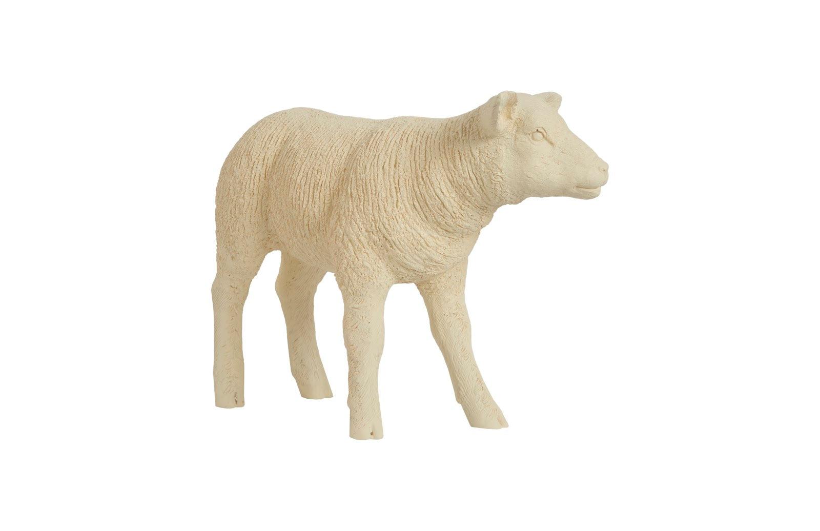 Texelaar Sheep, Lamb, Cream - Frankwebs