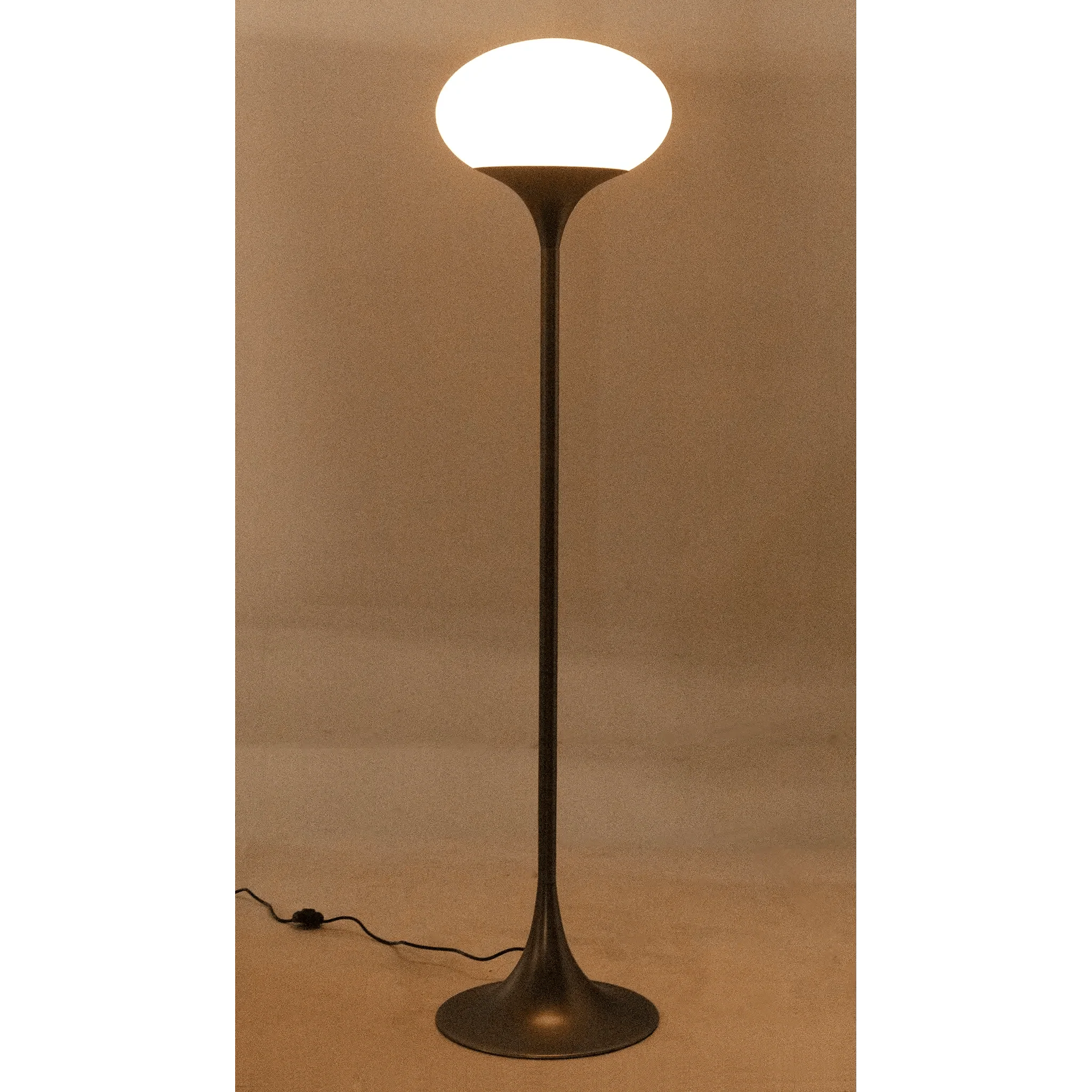 Drop Floor Lamp, Gun Metal Finish - Frankwebs
