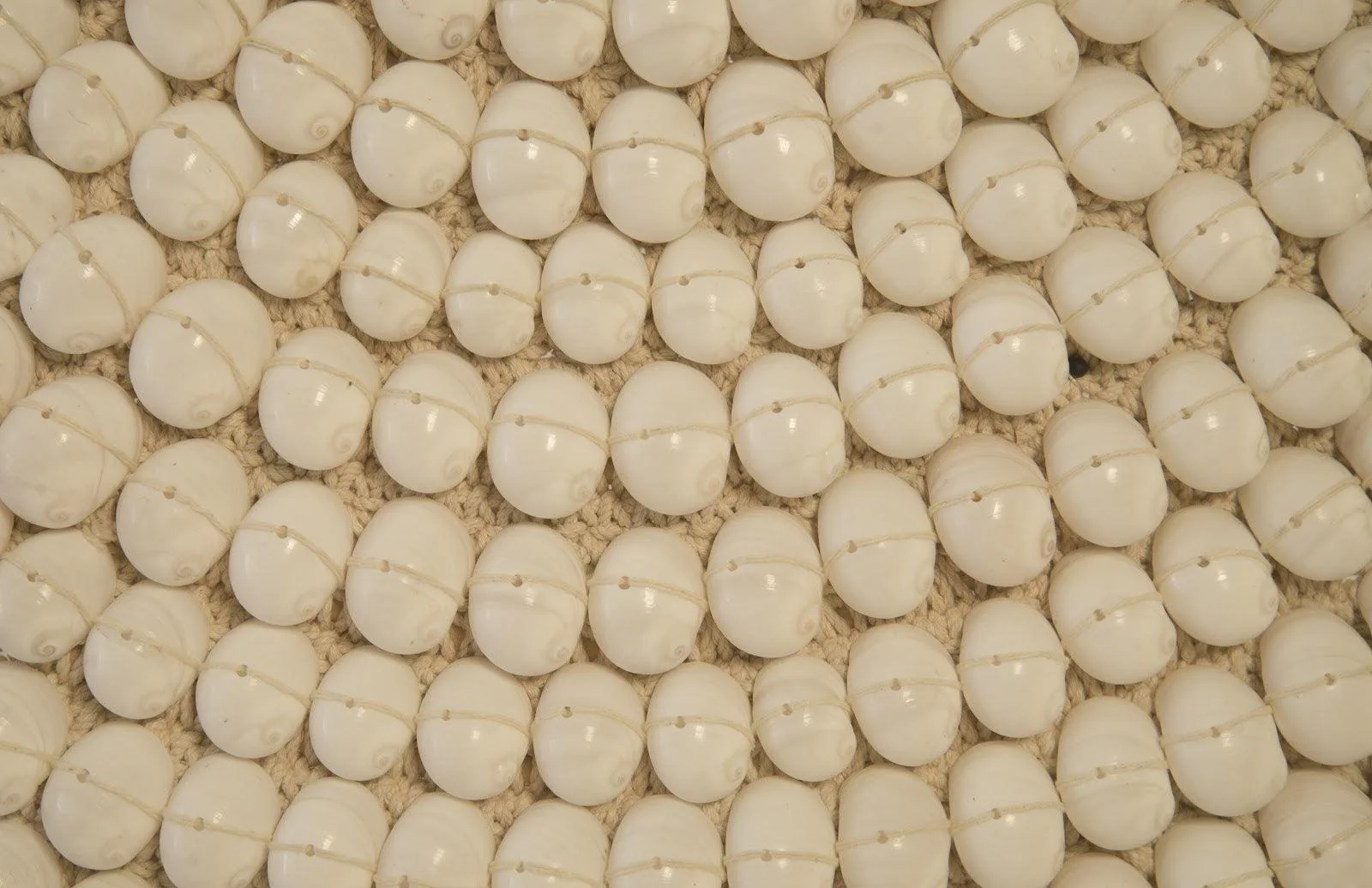 Shell Necklace Sculpture, on stand - Frankwebs