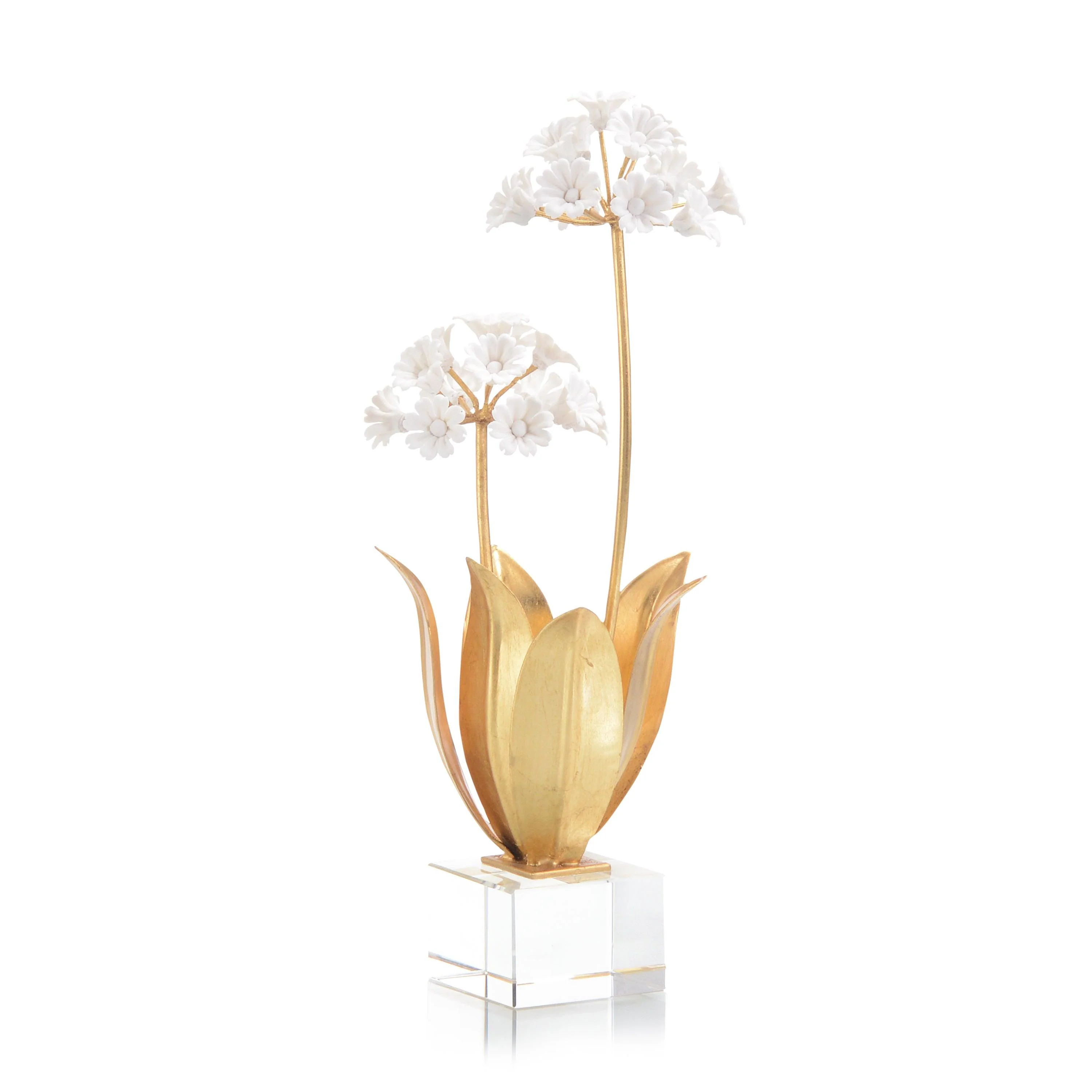 Allium Moly In Porcelain - Frankwebs