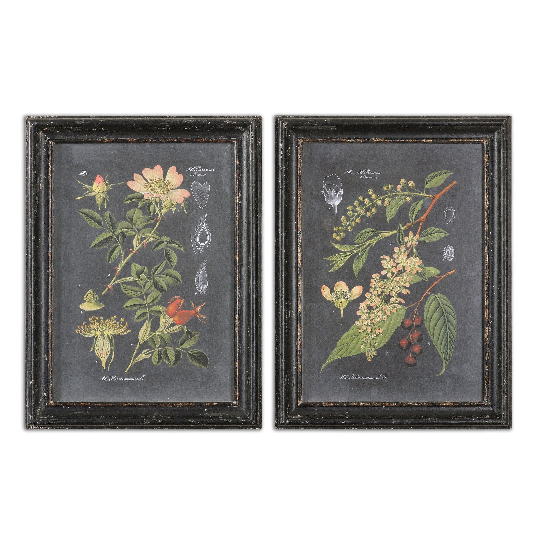 MIDNIGHT BOTANICALS WALL ART SET OF 2 - Frankwebs