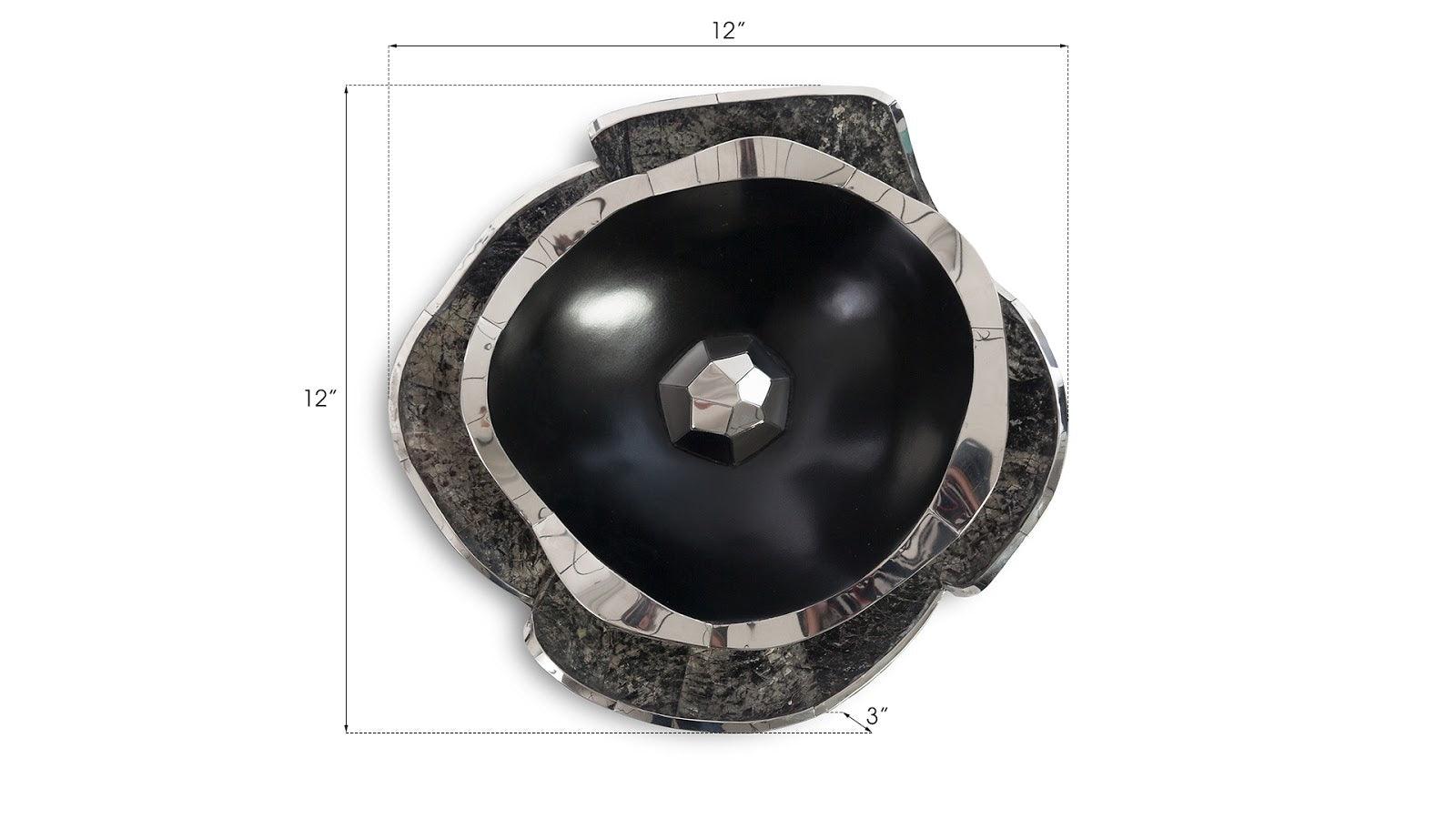 Pen Shell Wall Art - Frankwebs