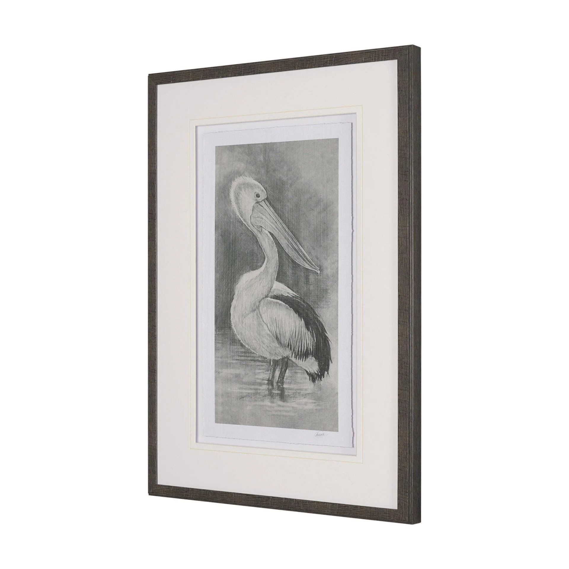 Pelican Sketch - Frankwebs