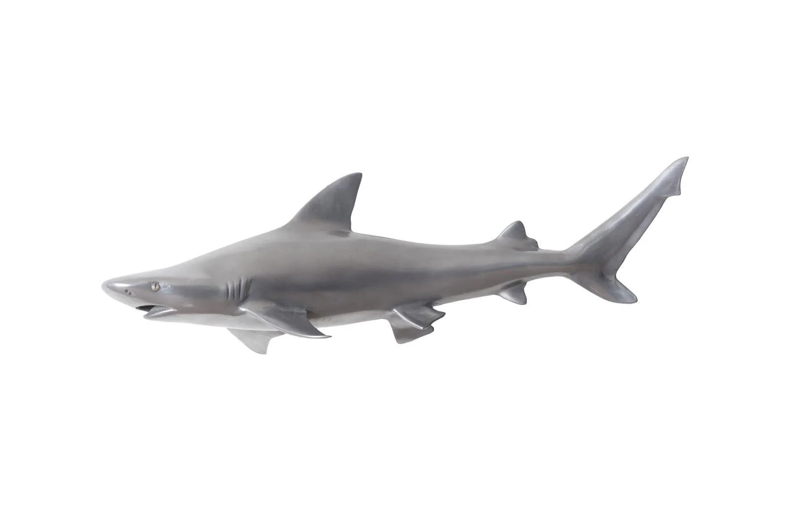 Black Tip Reef Shark, Polished Aluminum - Frankwebs