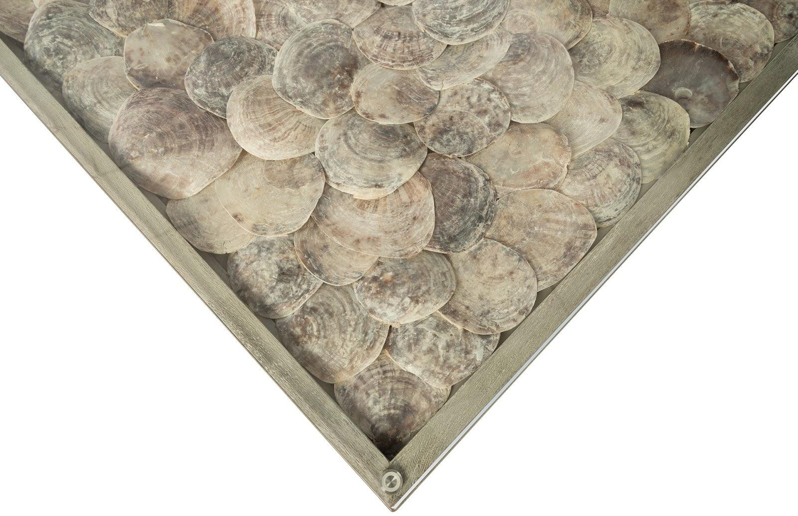 Shell Coffee Table, Glass Top, Ming Stainless Steel Legs - Frankwebs