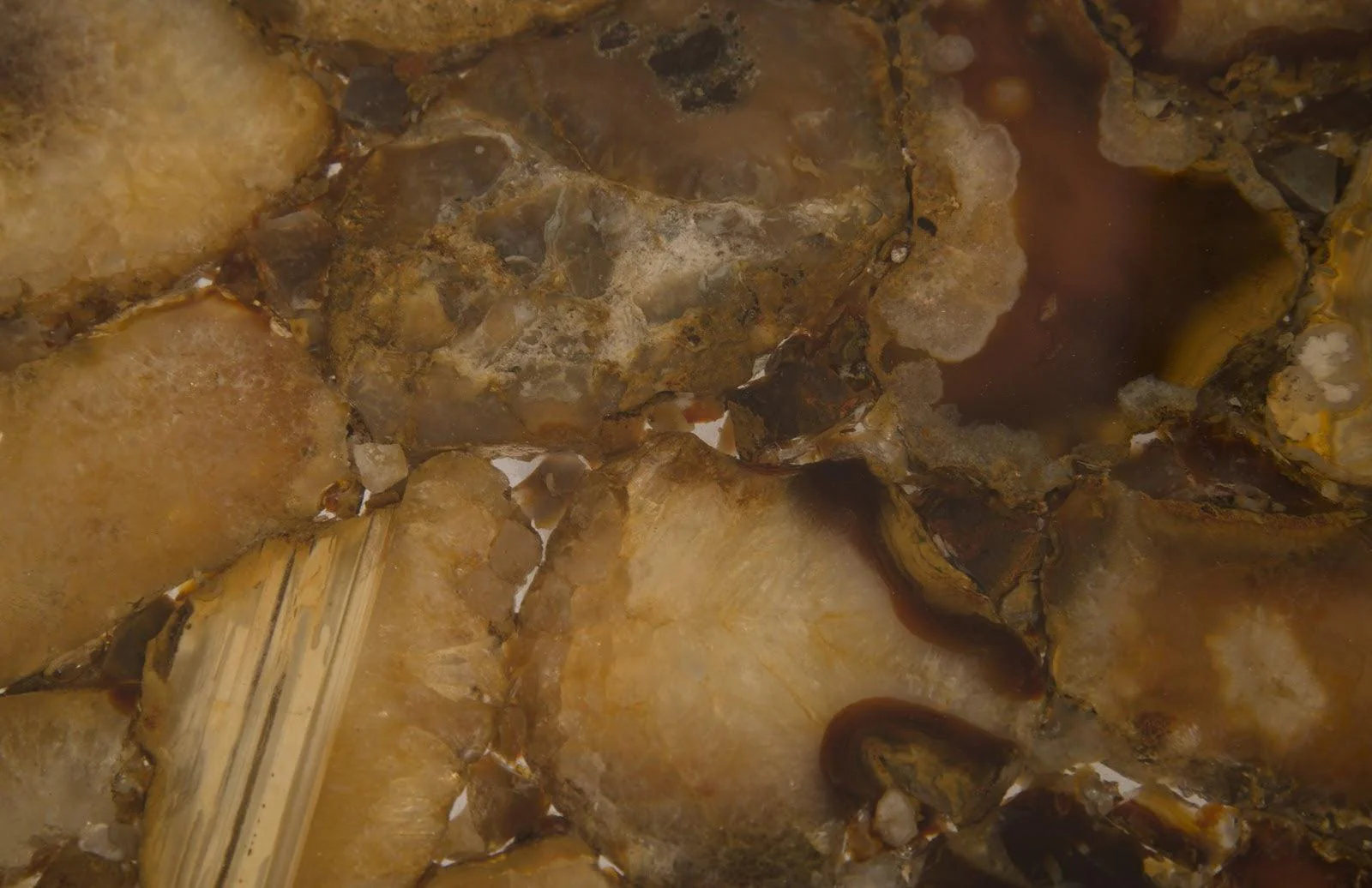 Agate Coffee Table - Frankwebs