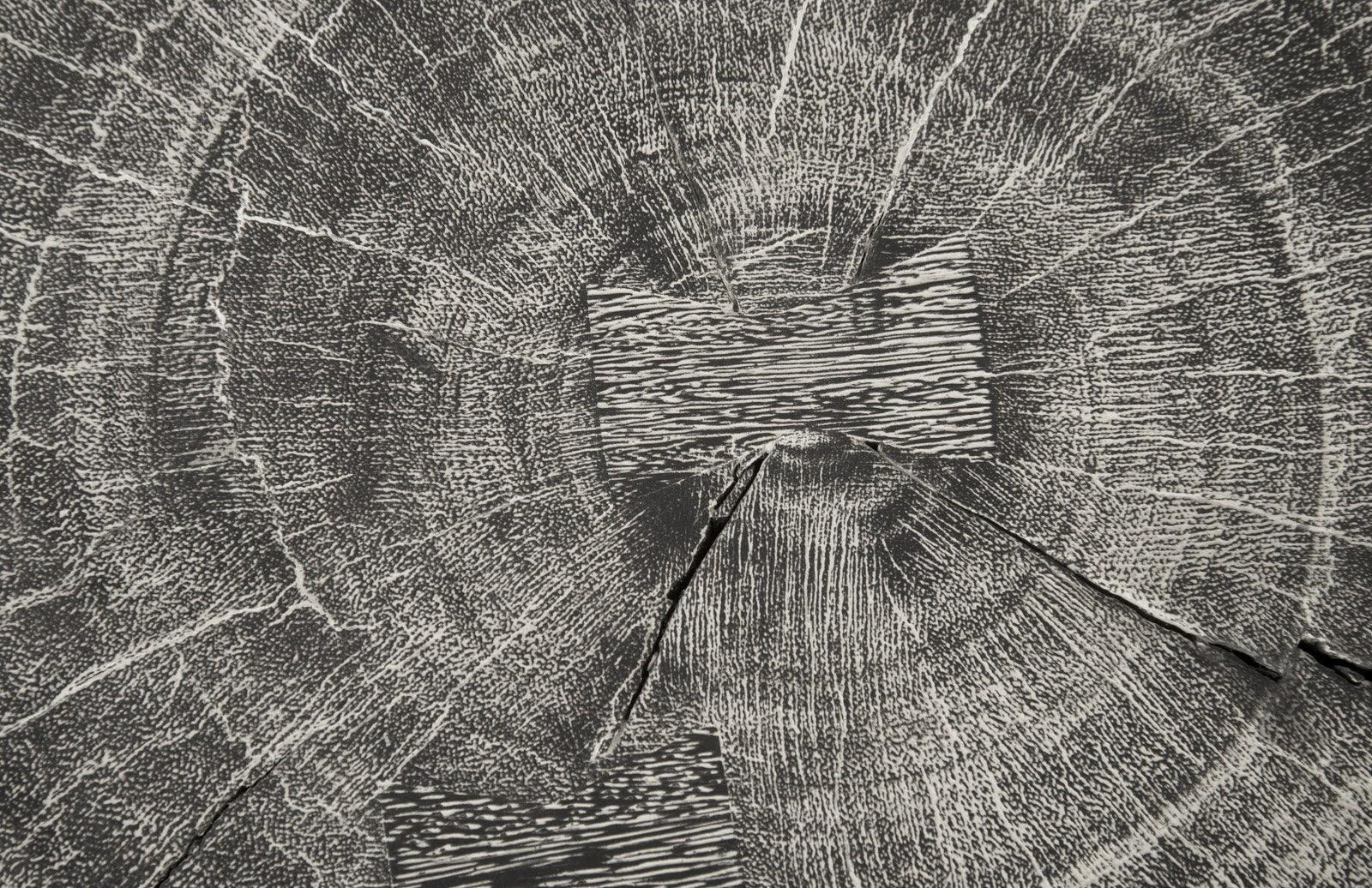 Curved Wood Stool, Thin, Gray Stone - Frankwebs