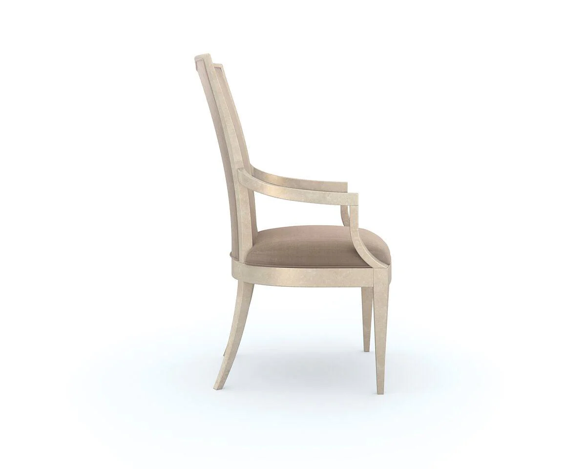 VERY APPEALING DINING ARM CHAIR - SET OF 2 - Frankwebs