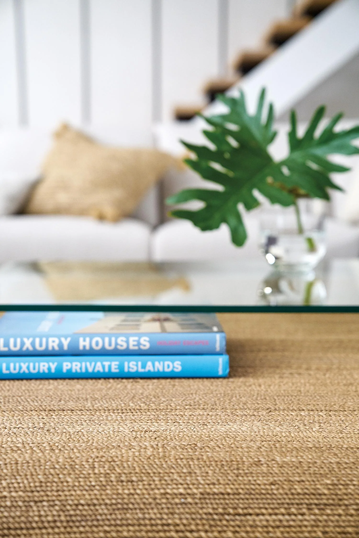 Amani Rope and Glass Cocktail Table - Frankwebs