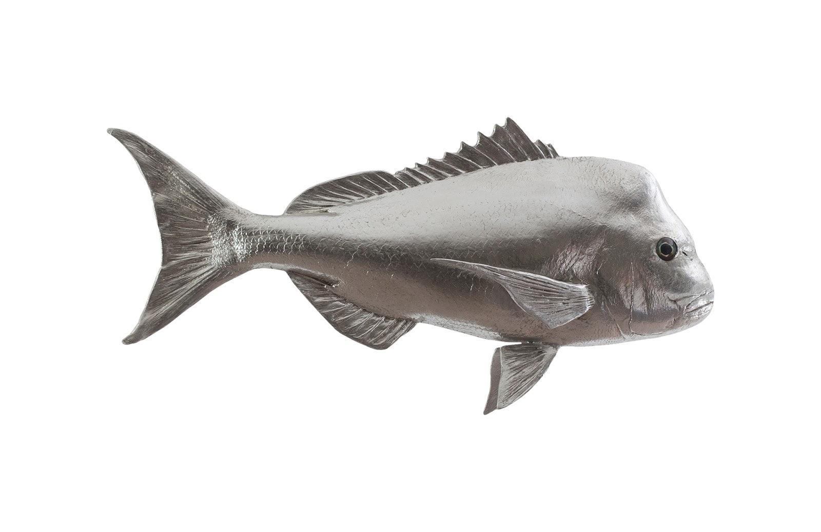 Australian Snapper Fish Wall Sculpture, Resin, Silver Leaf - Frankwebs