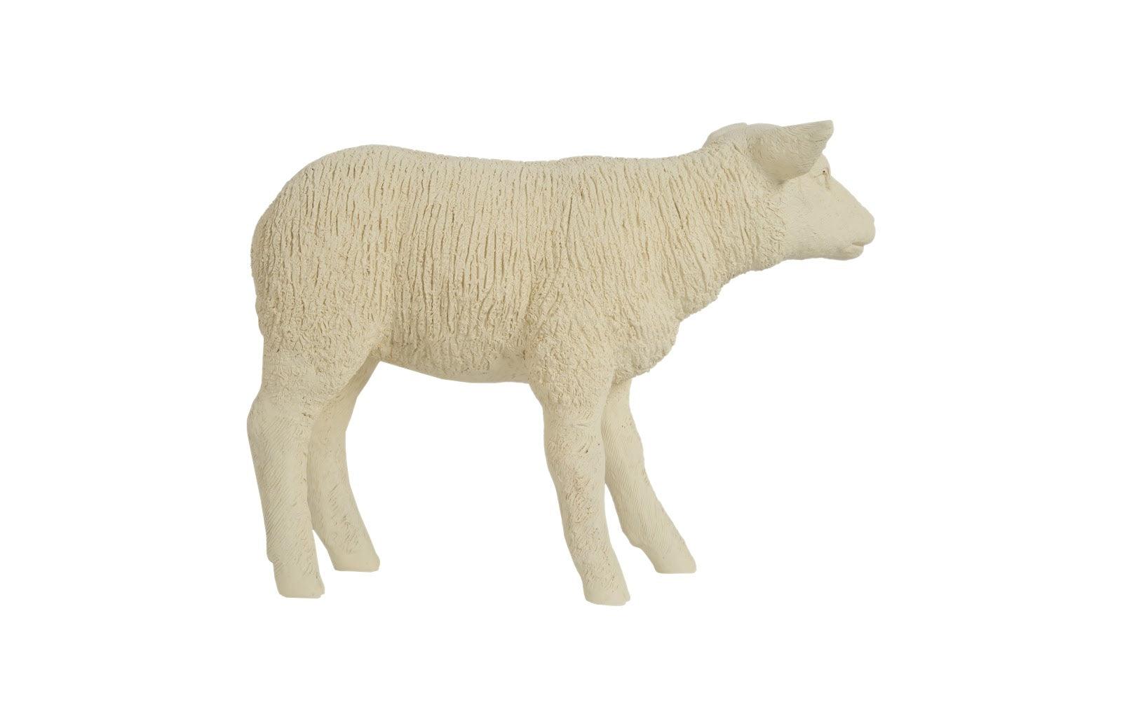 Texelaar Sheep, Lamb, Cream - Frankwebs