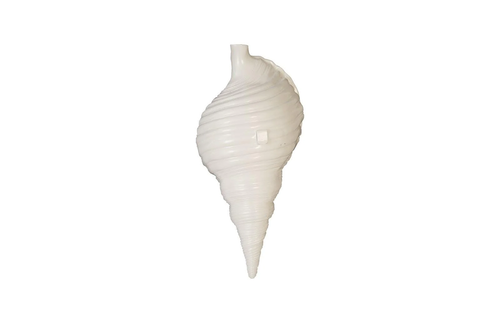 Triton Shell Wall Art, Pearl White and Gold Leaf - Frankwebs
