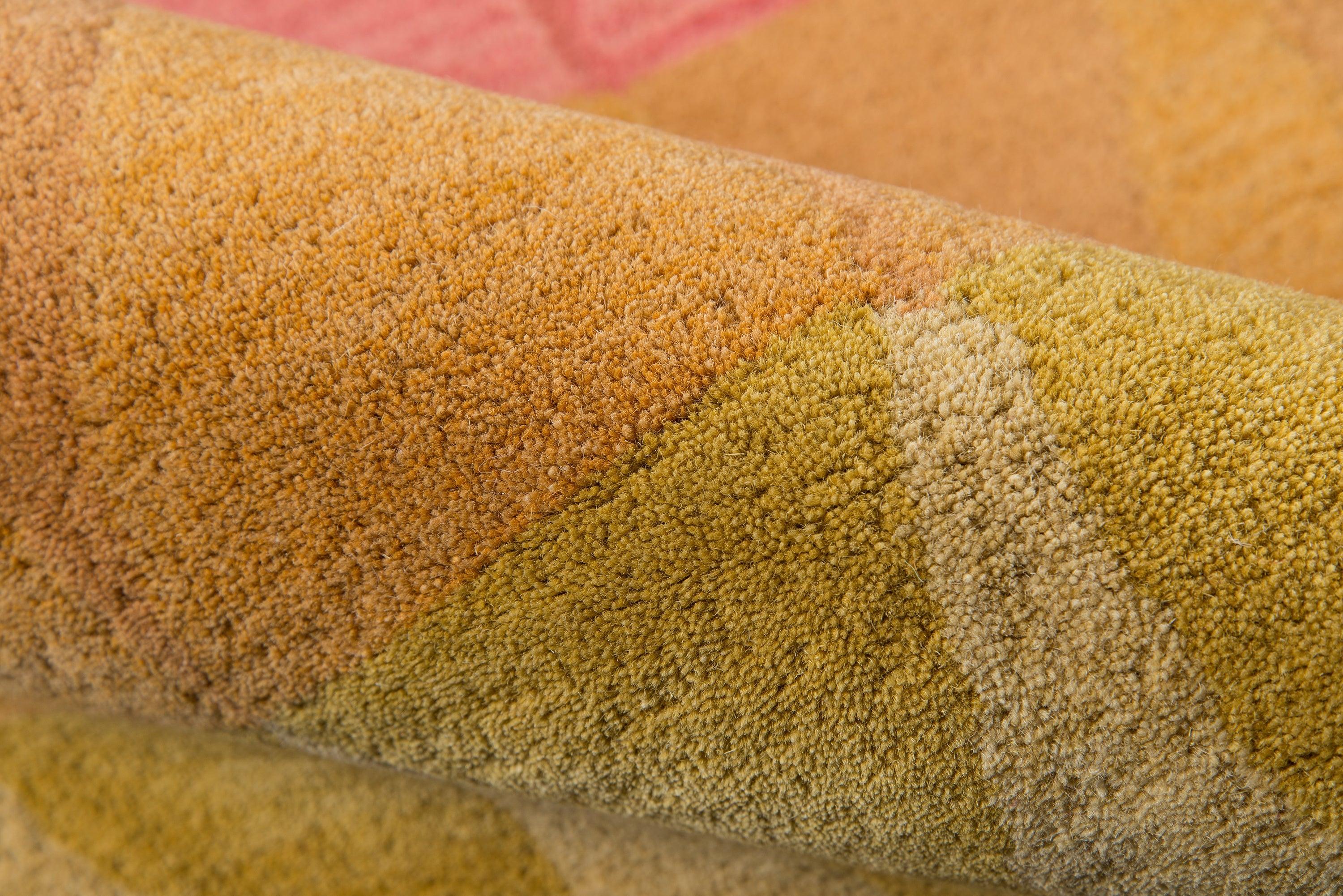 Delhi 59 - Frankwebs