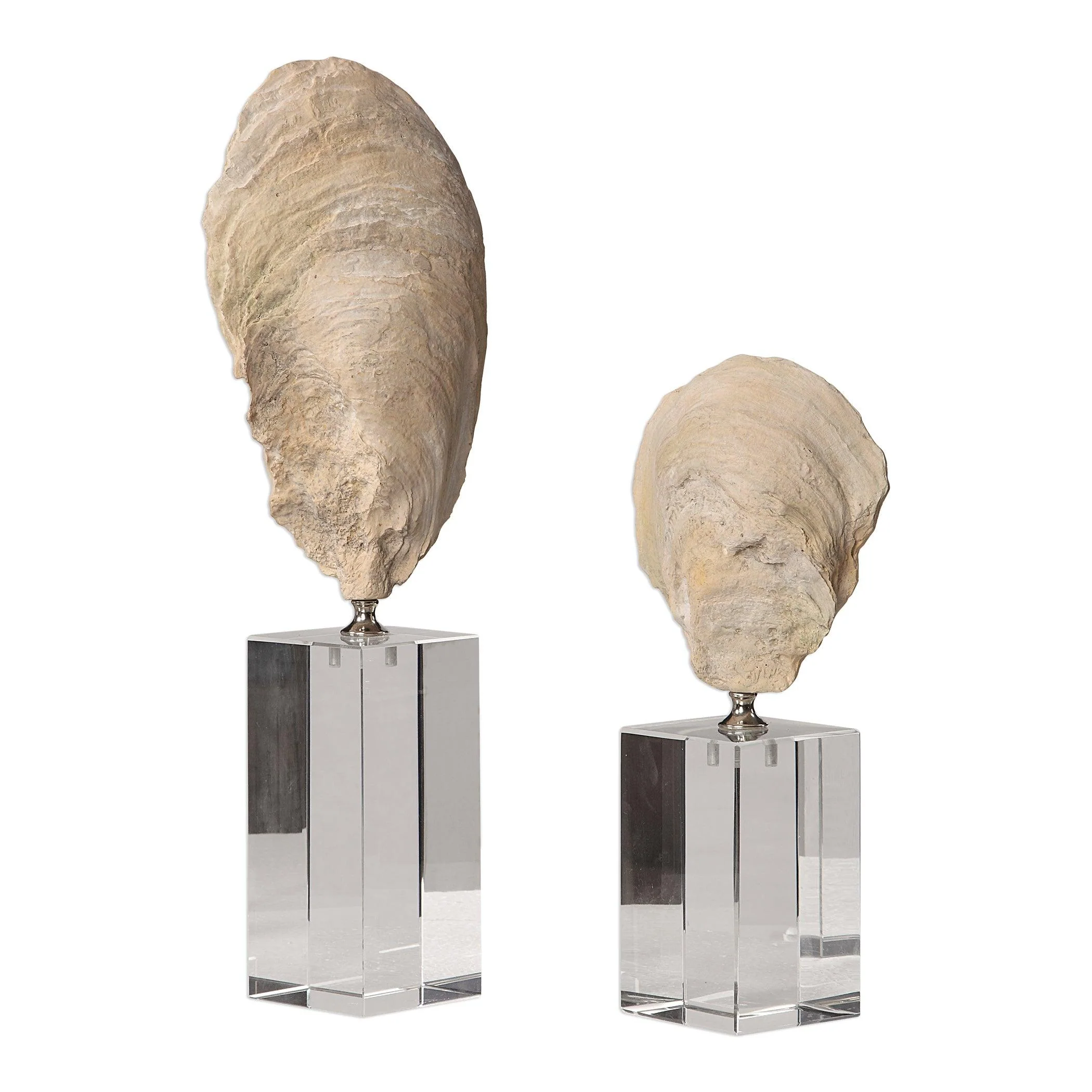 OYSTER SHELL SCULPTURES, SET OF 2 - Frankwebs