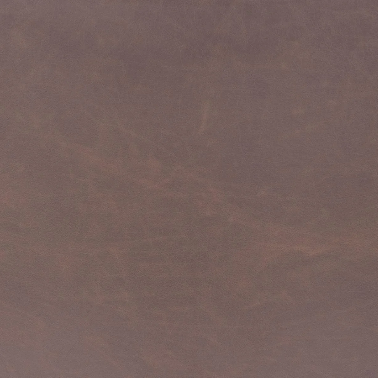 Smart Dining Chair Set - Frankwebs