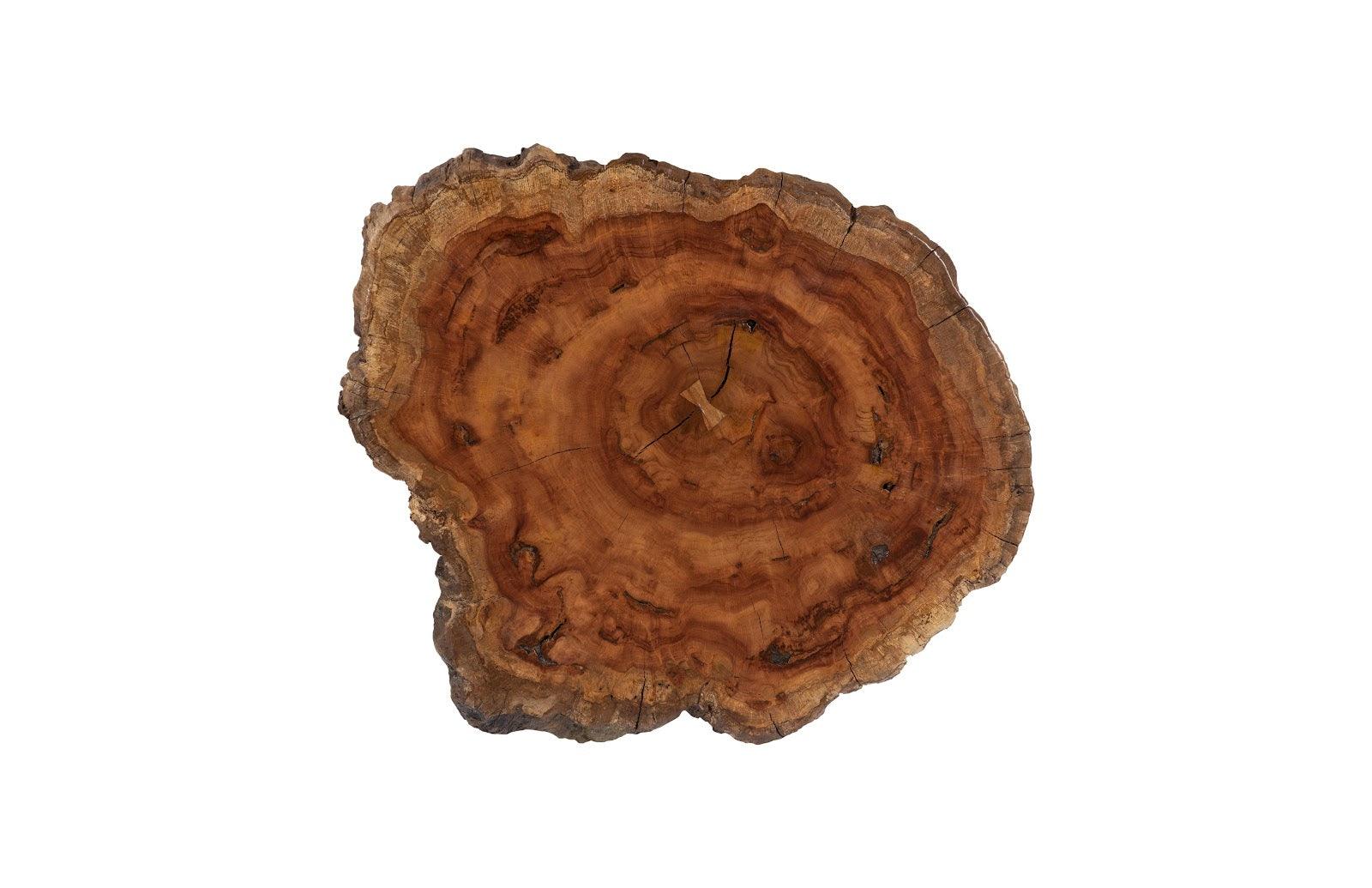 Wood Coffee Table, Forged Legs - Frankwebs