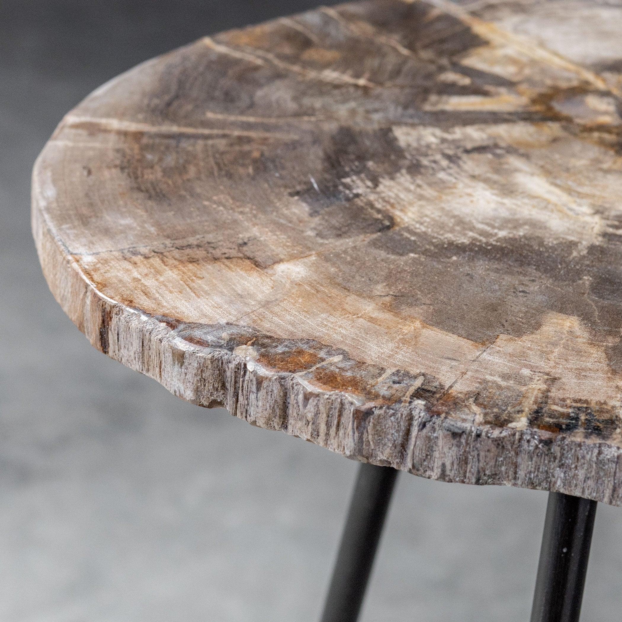 MIRCEA PETRIFIED WOOD ACCENT TABLE - Frankwebs