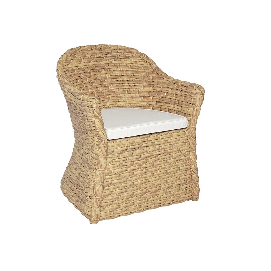 Vero Dining Armchair - Set of 2 - Frankwebs