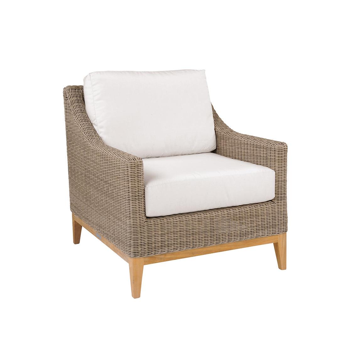 Frances Deep Seating Lounge Chair - Frankwebs