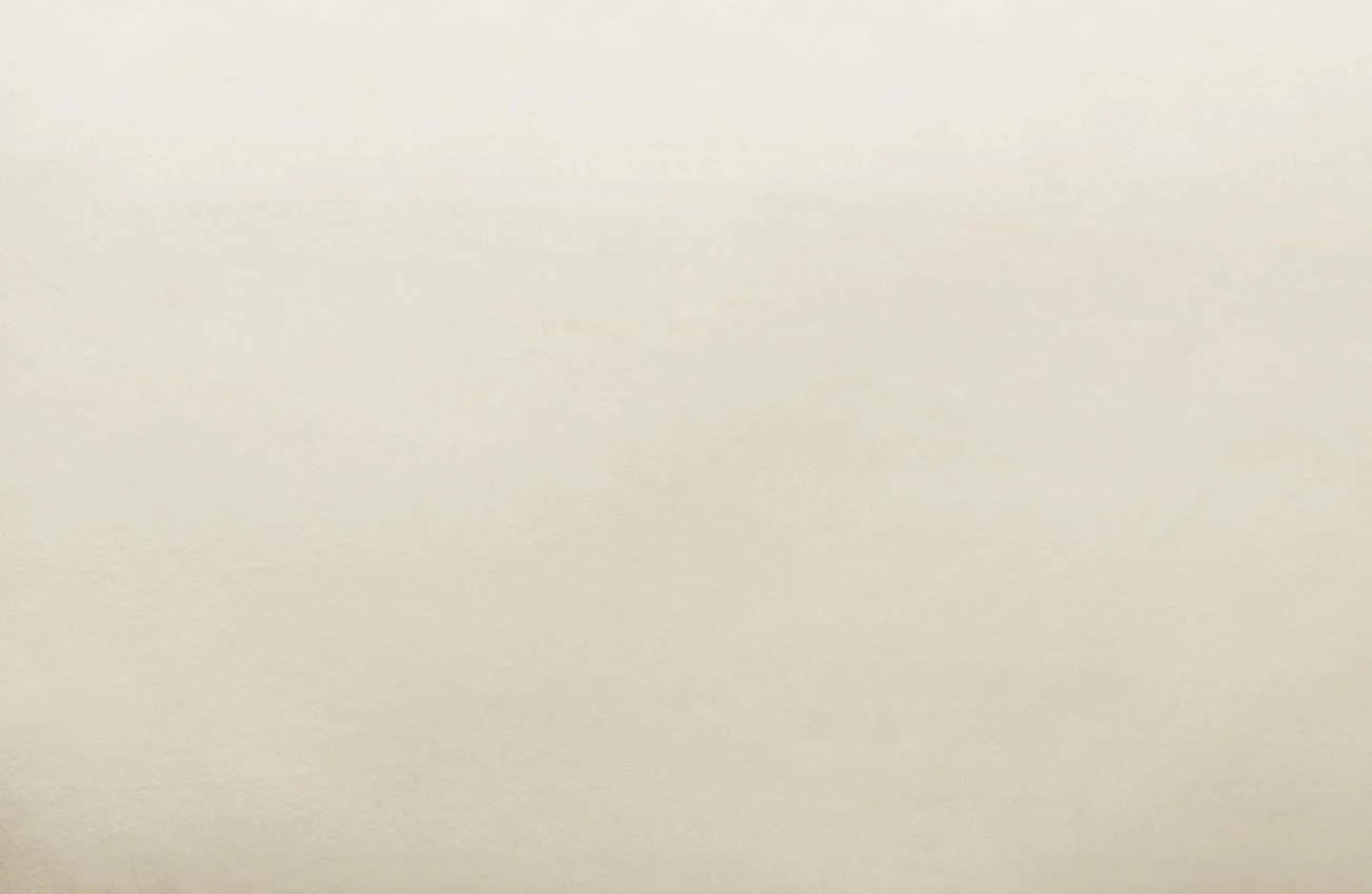 Avery Cream Velvet Chair - Frankwebs