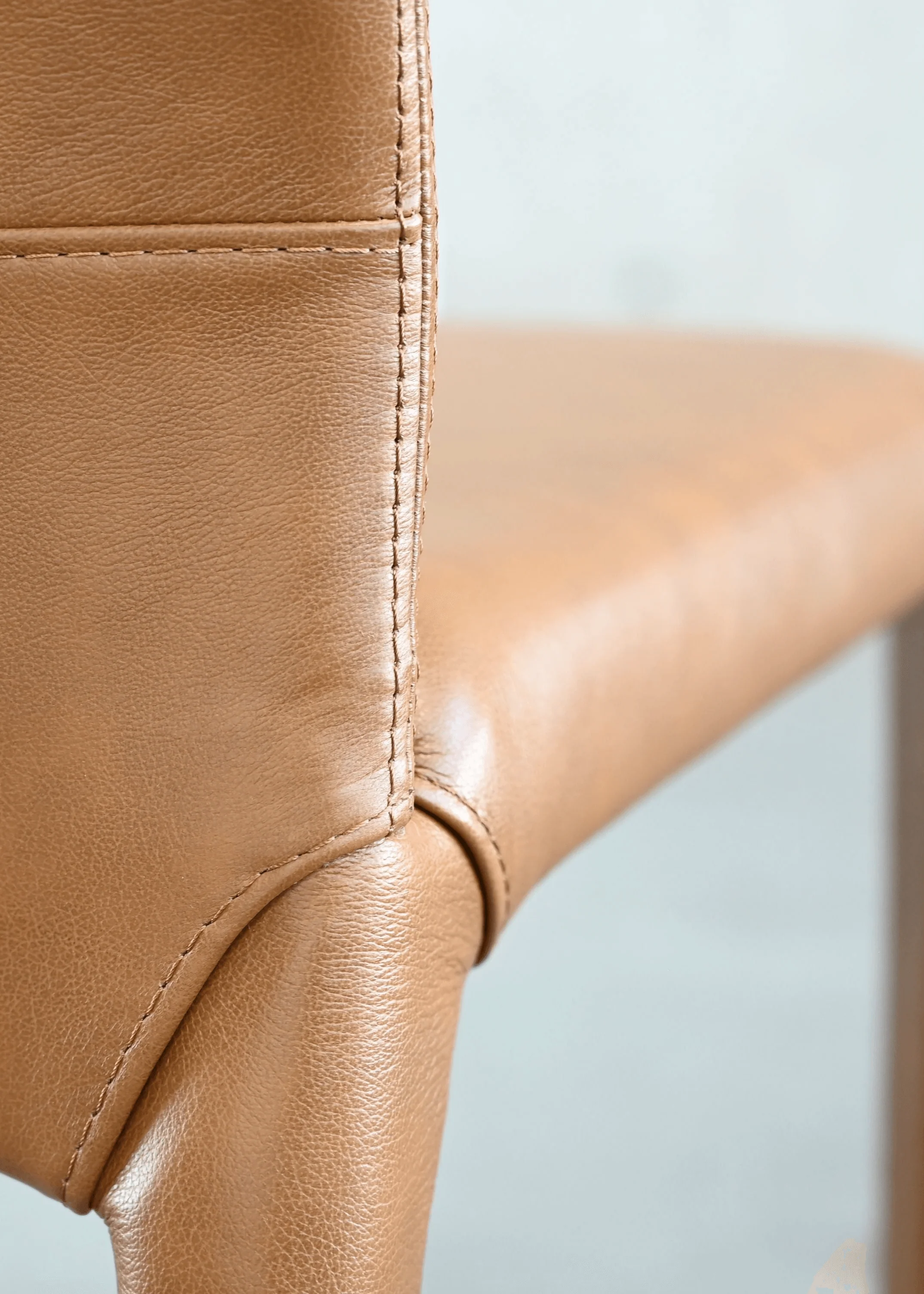 ZEG Dining Chair - Set Of 2 - Frankwebs