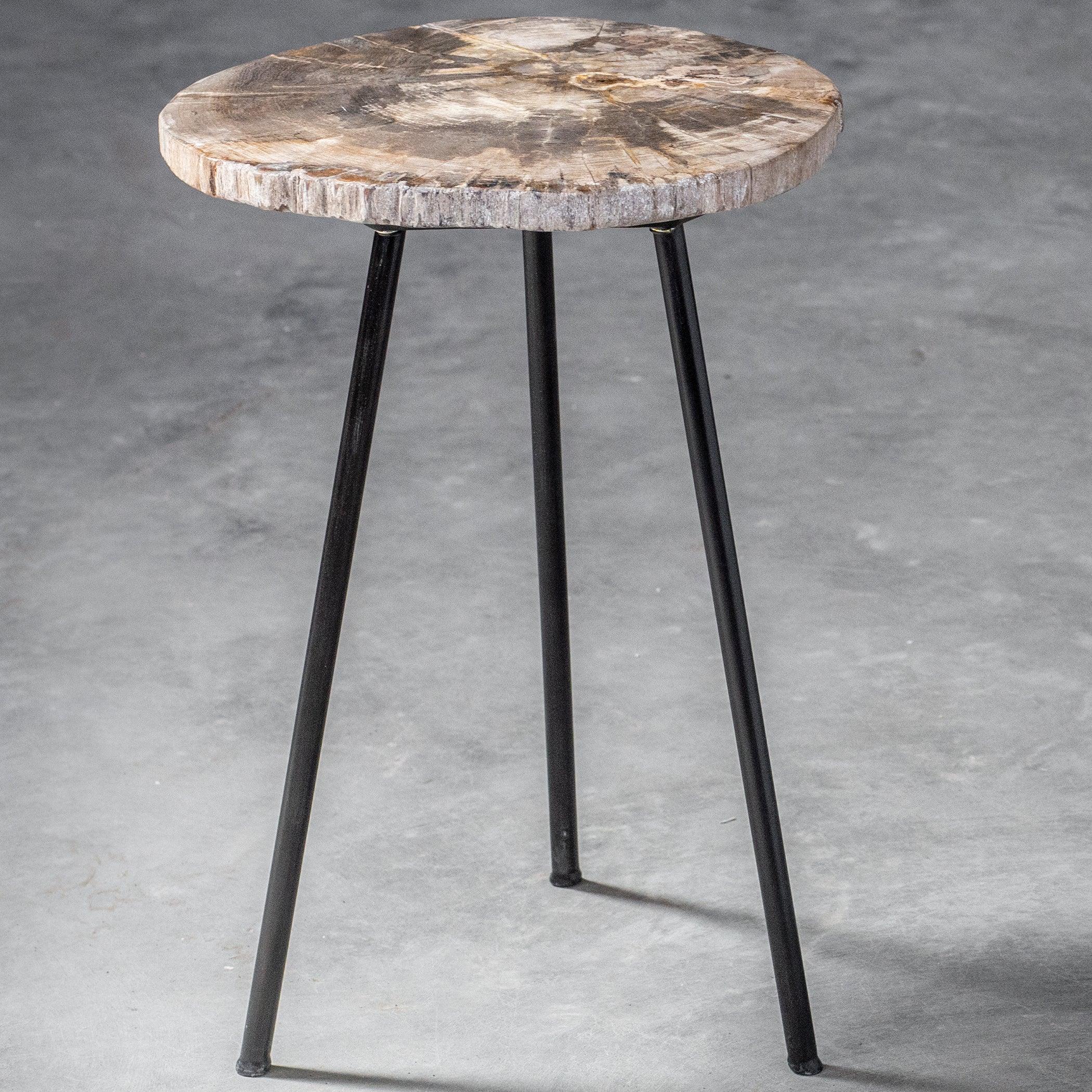 MIRCEA PETRIFIED WOOD ACCENT TABLE - Frankwebs