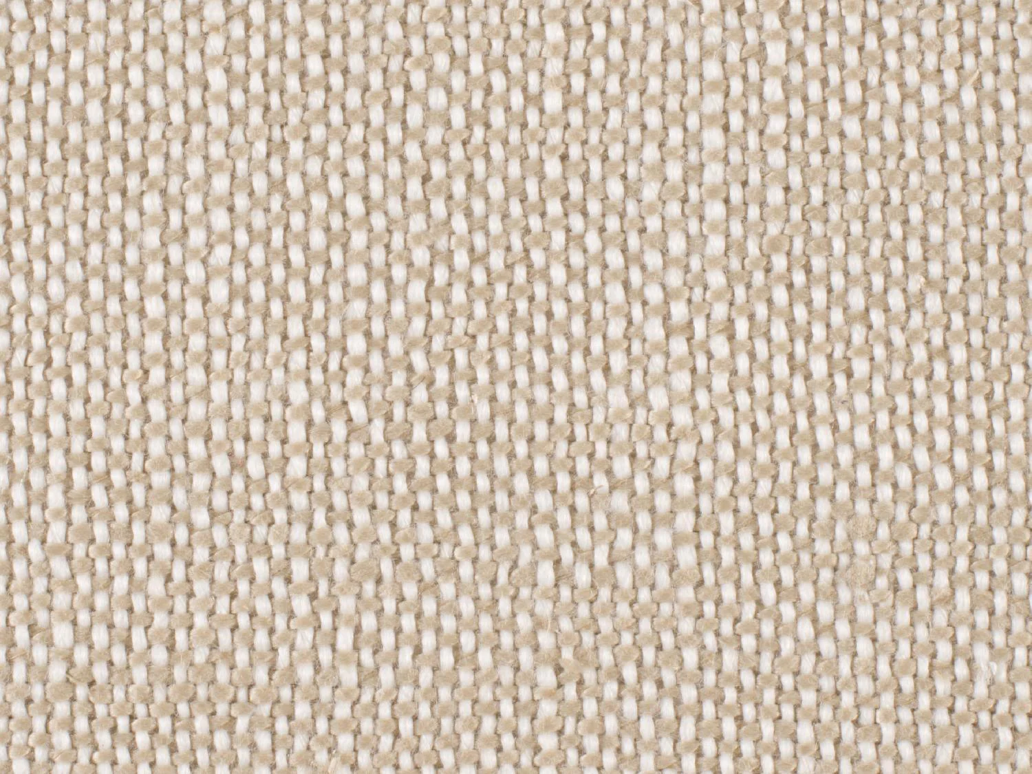 Archivist Upholstered Side Chair - Set of 2 - Frankwebs