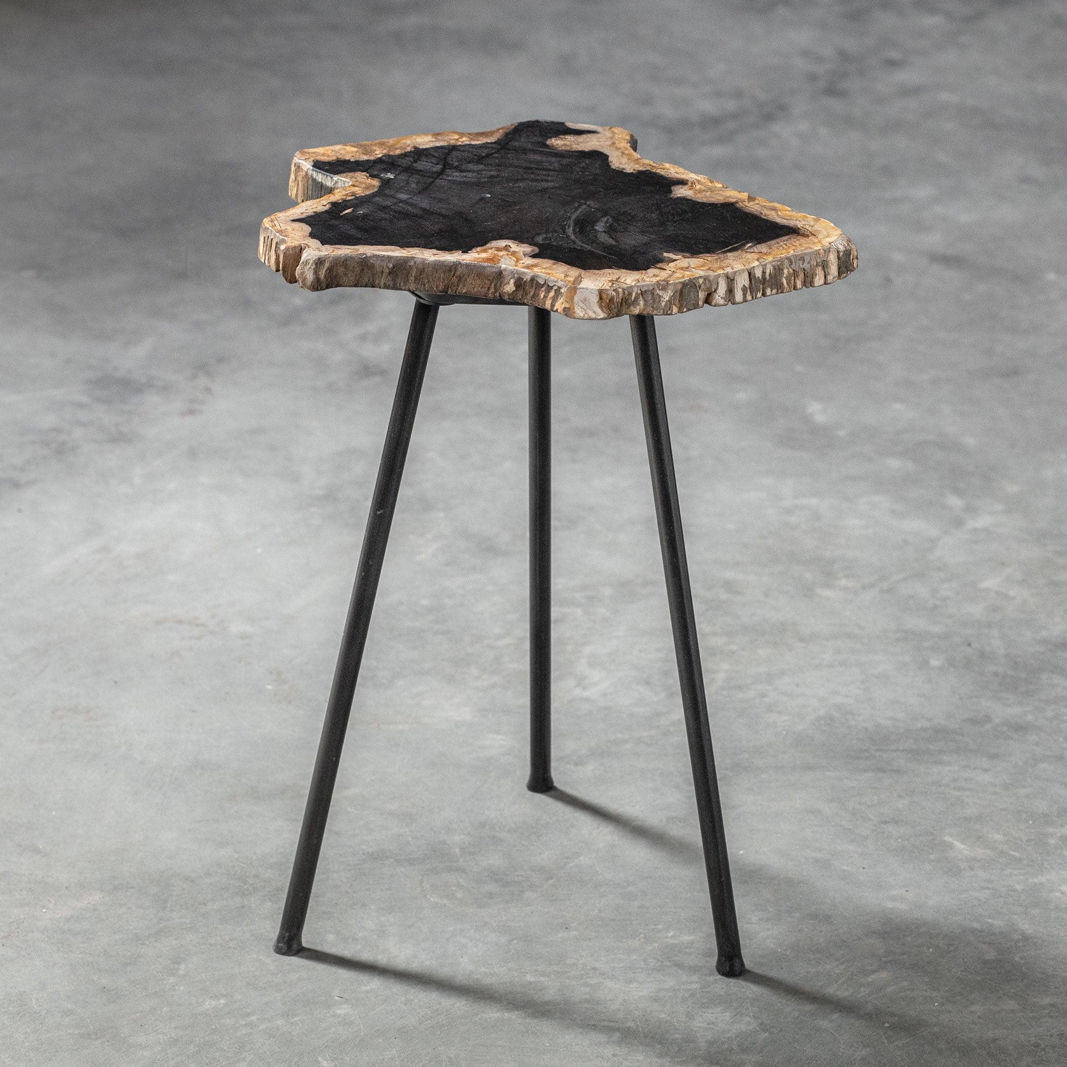 MIRCEA PETRIFIED WOOD ACCENT TABLE - Frankwebs