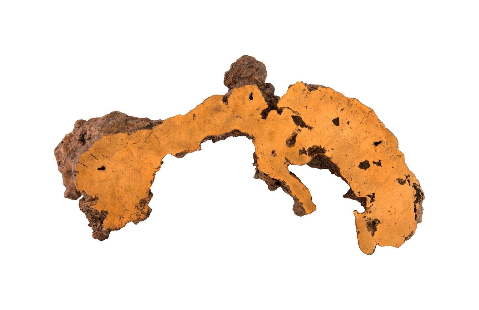 Burled Root Wall Art, Medium, Faux Bois Finish - Frankwebs