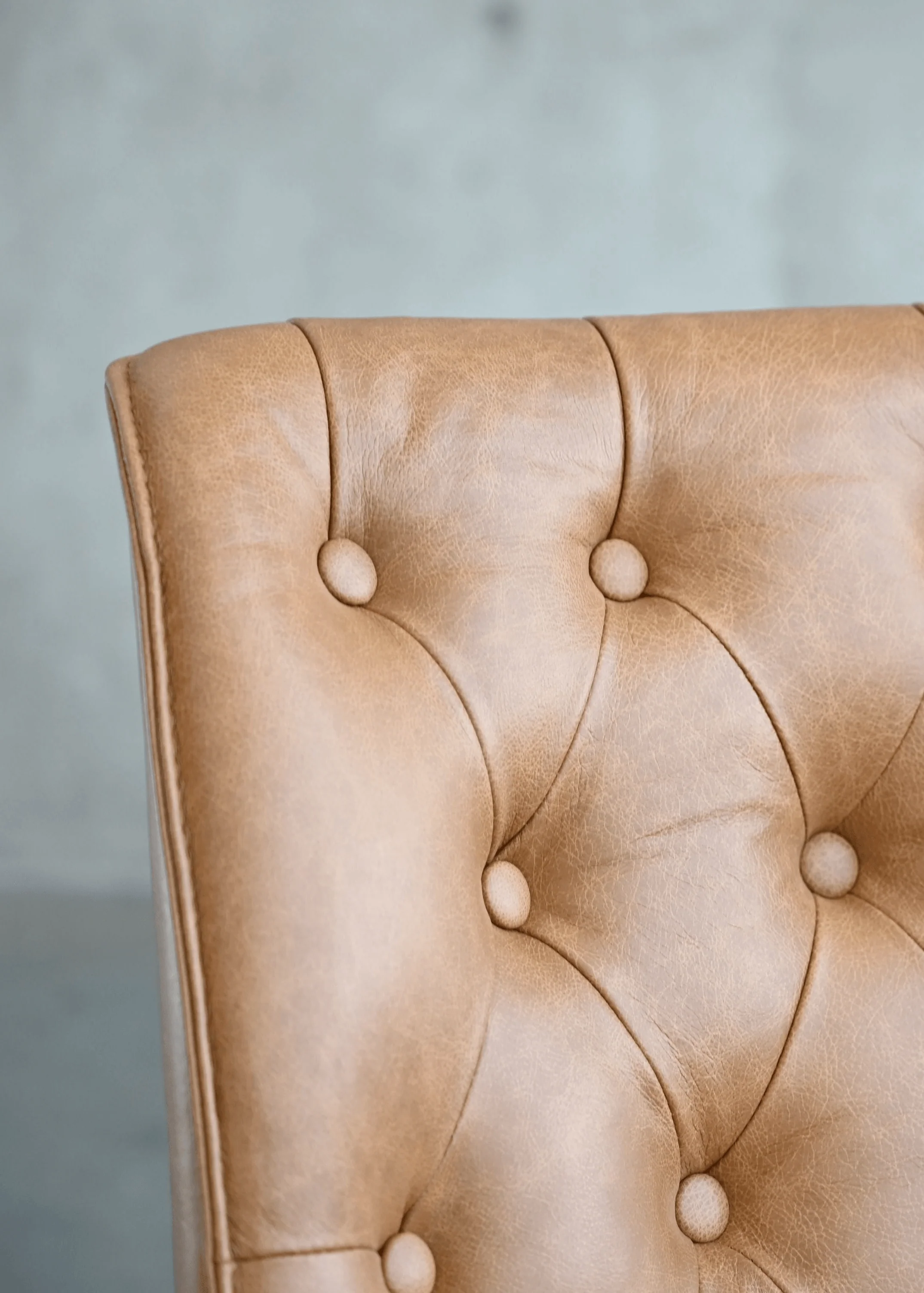 ROULETTE Dining Chair - Set Of 2 - Frankwebs